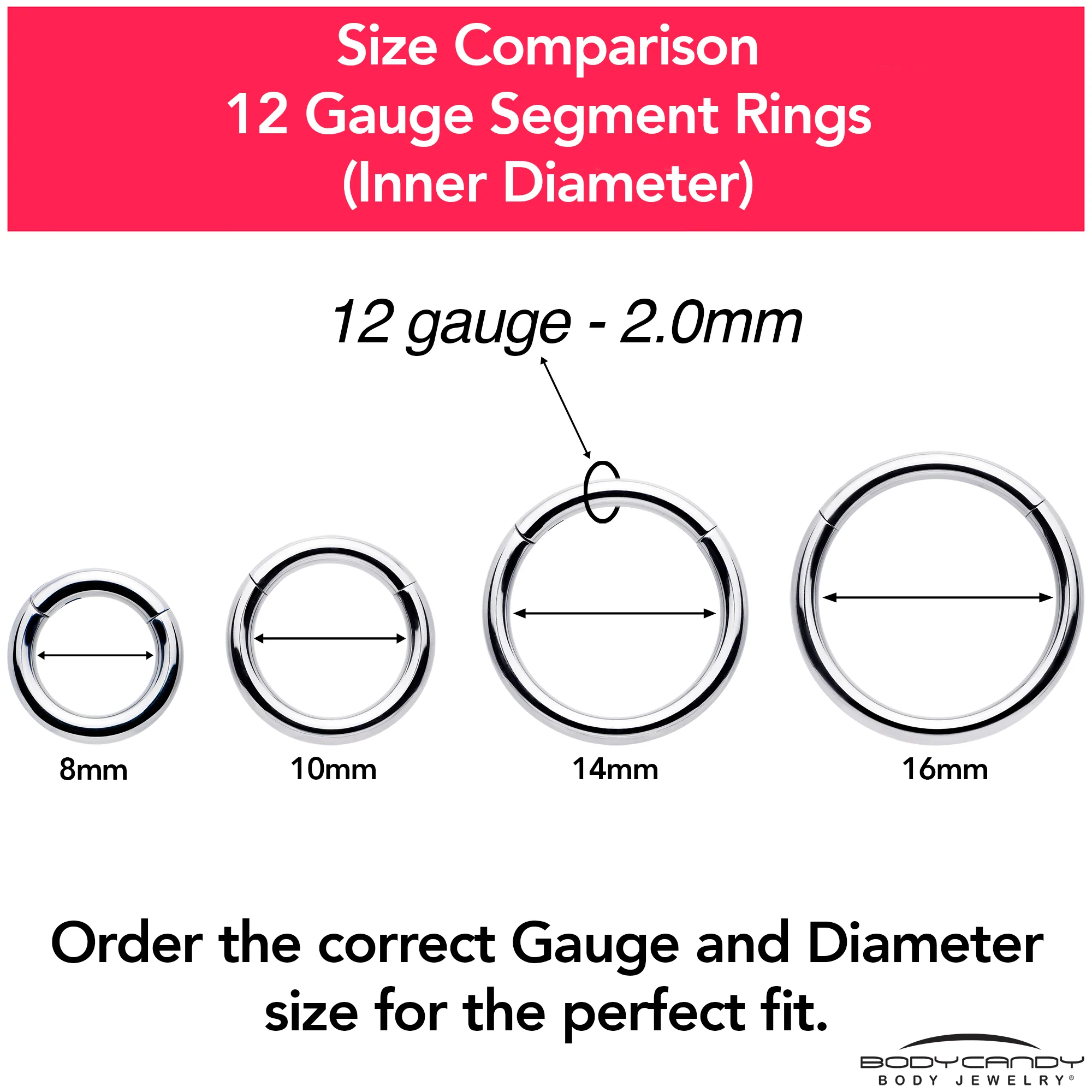 12G 9/16 316L Surgical Steel Precision Hinged Segment Hoop - Image 9