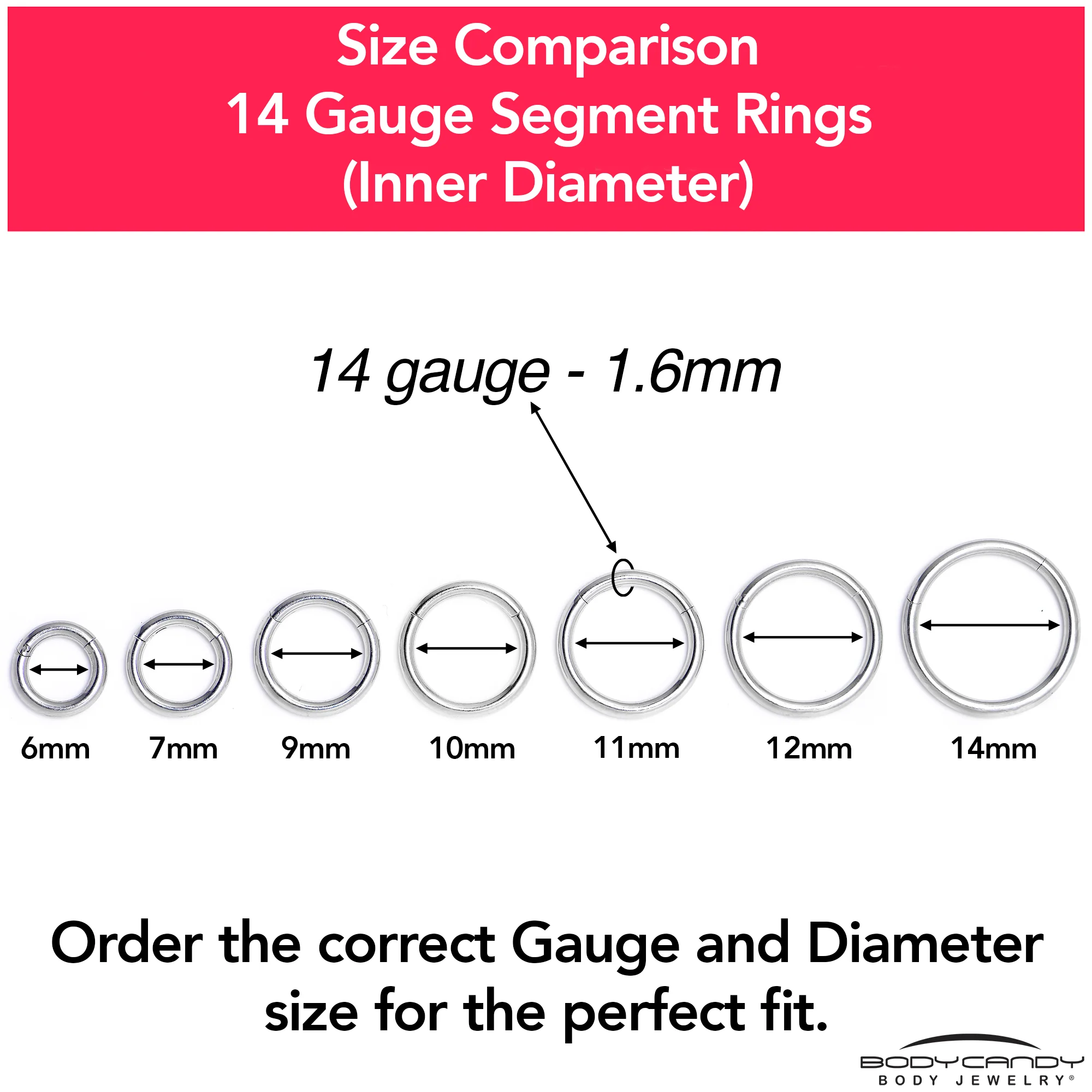 14G 1/4 316L Surgical Steel Precision Hinged Segment Hoop - Image 9