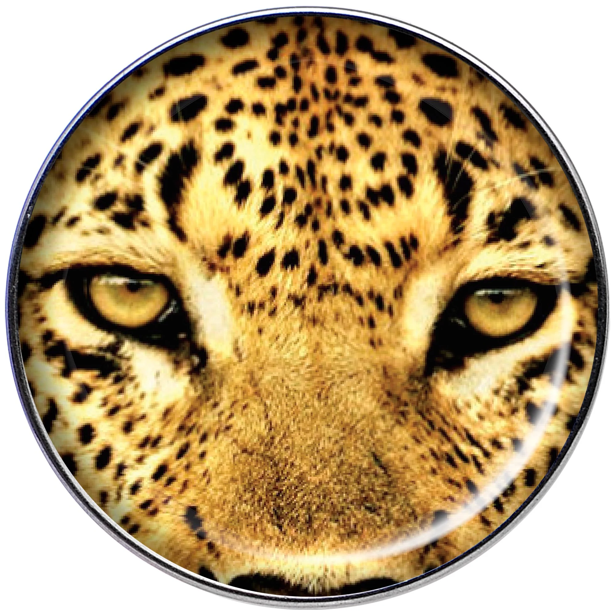 16G 1/4 Full Color Leopard Eyes Tragus Cartilage Earring - Image 2