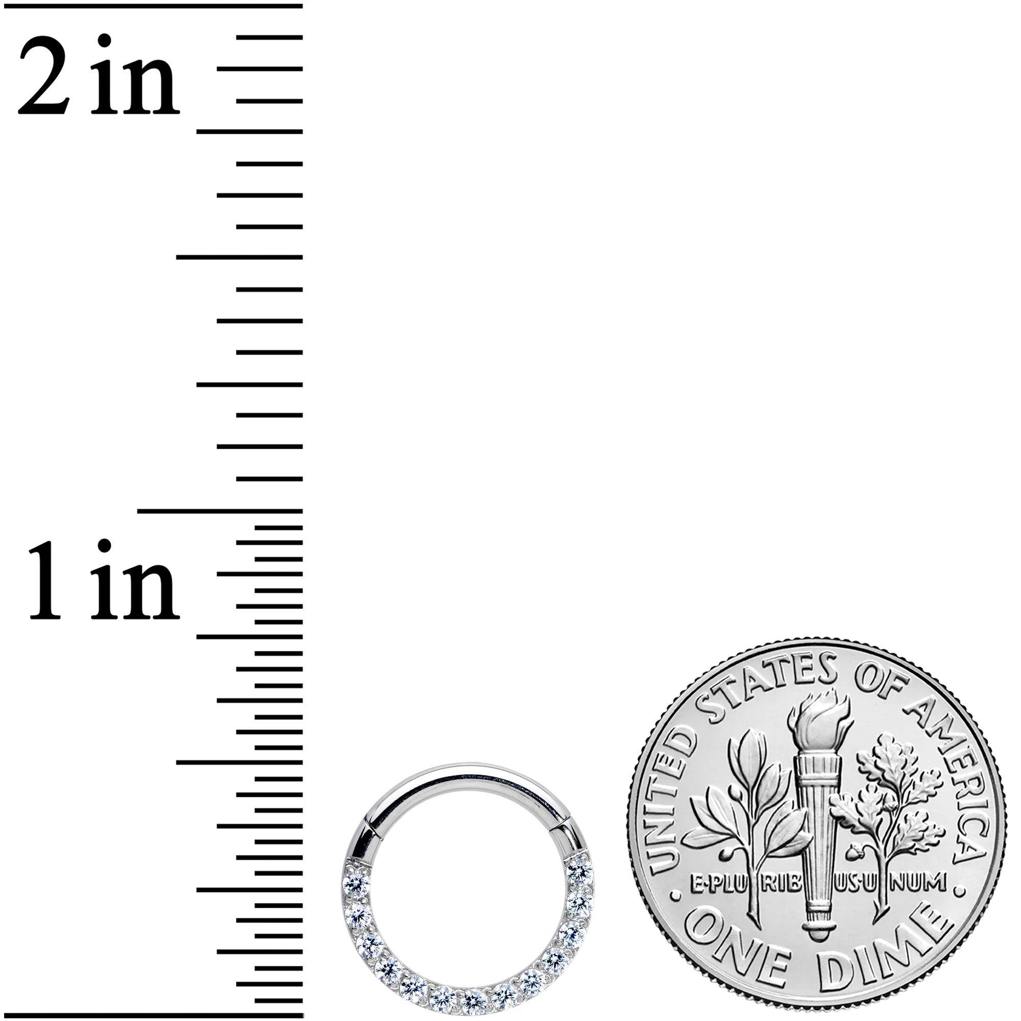 14G 3/8 Clear CZ Gem G23 Titanium Paved Hinged Segment Ring - Image 3
