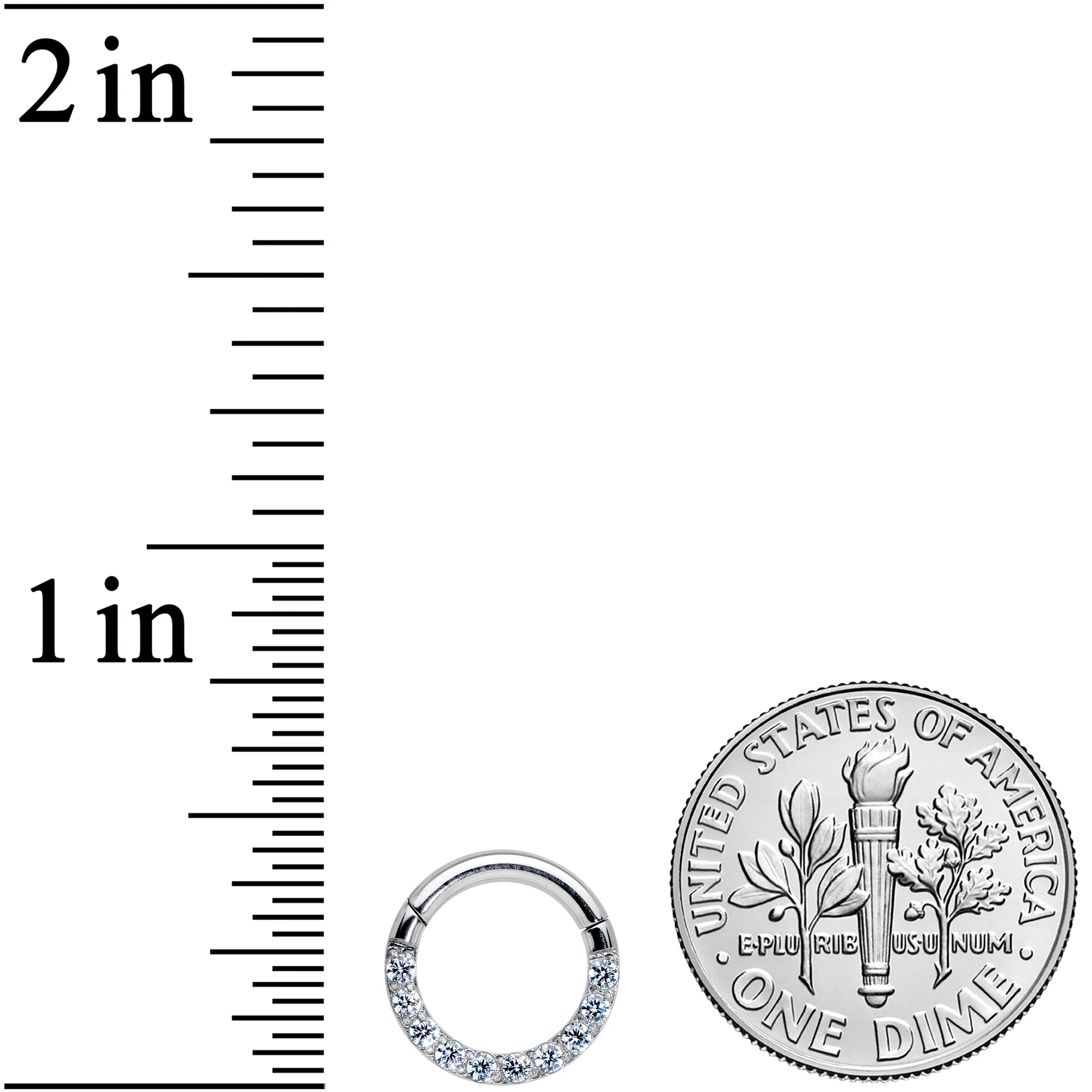 14G 5/16 Clear CZ Gem G23 Titanium Paved Hinged Segment Ring - Image 3