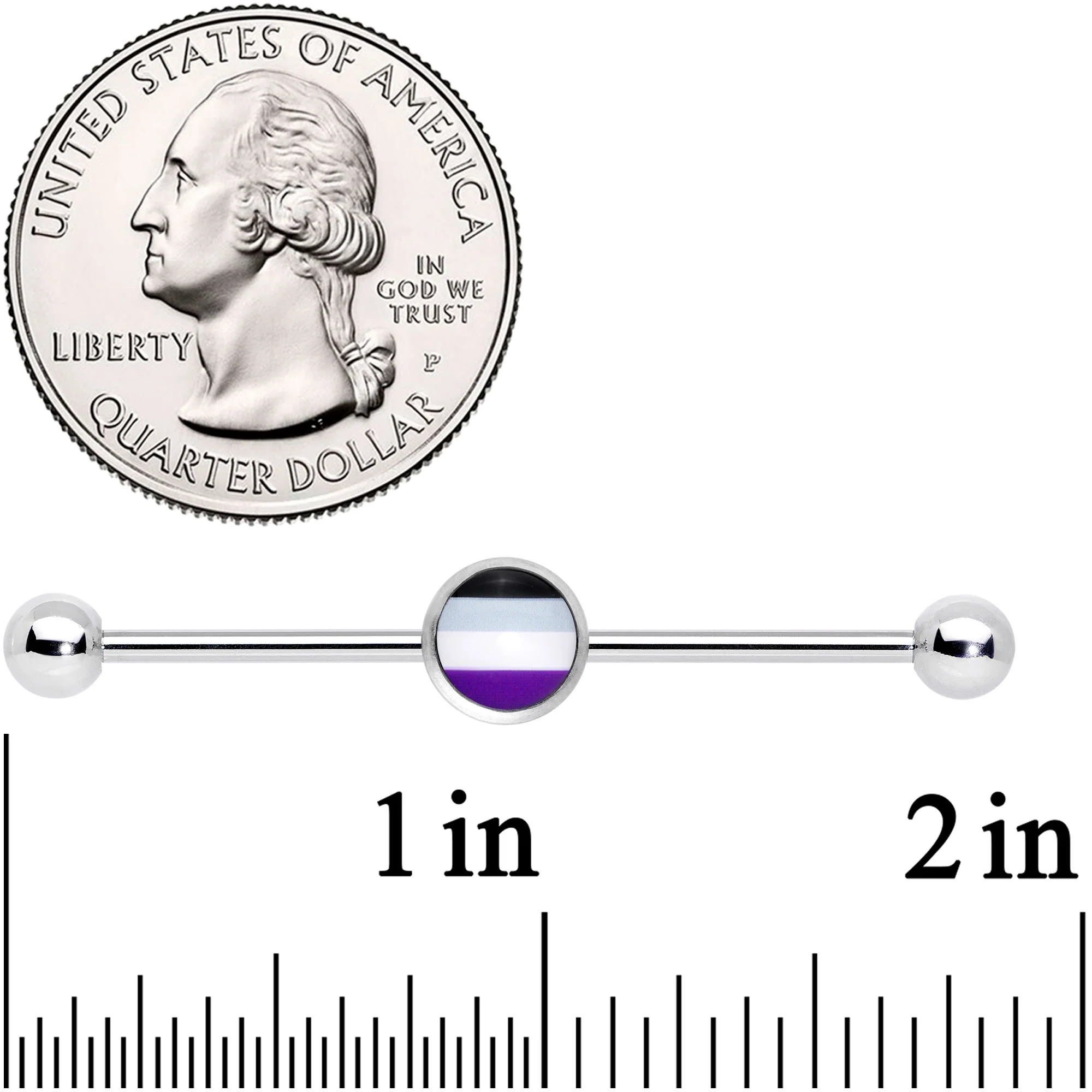14G Black Gray Purple Asexual Pride Flag Industrial Barbell 38mm - Image 2