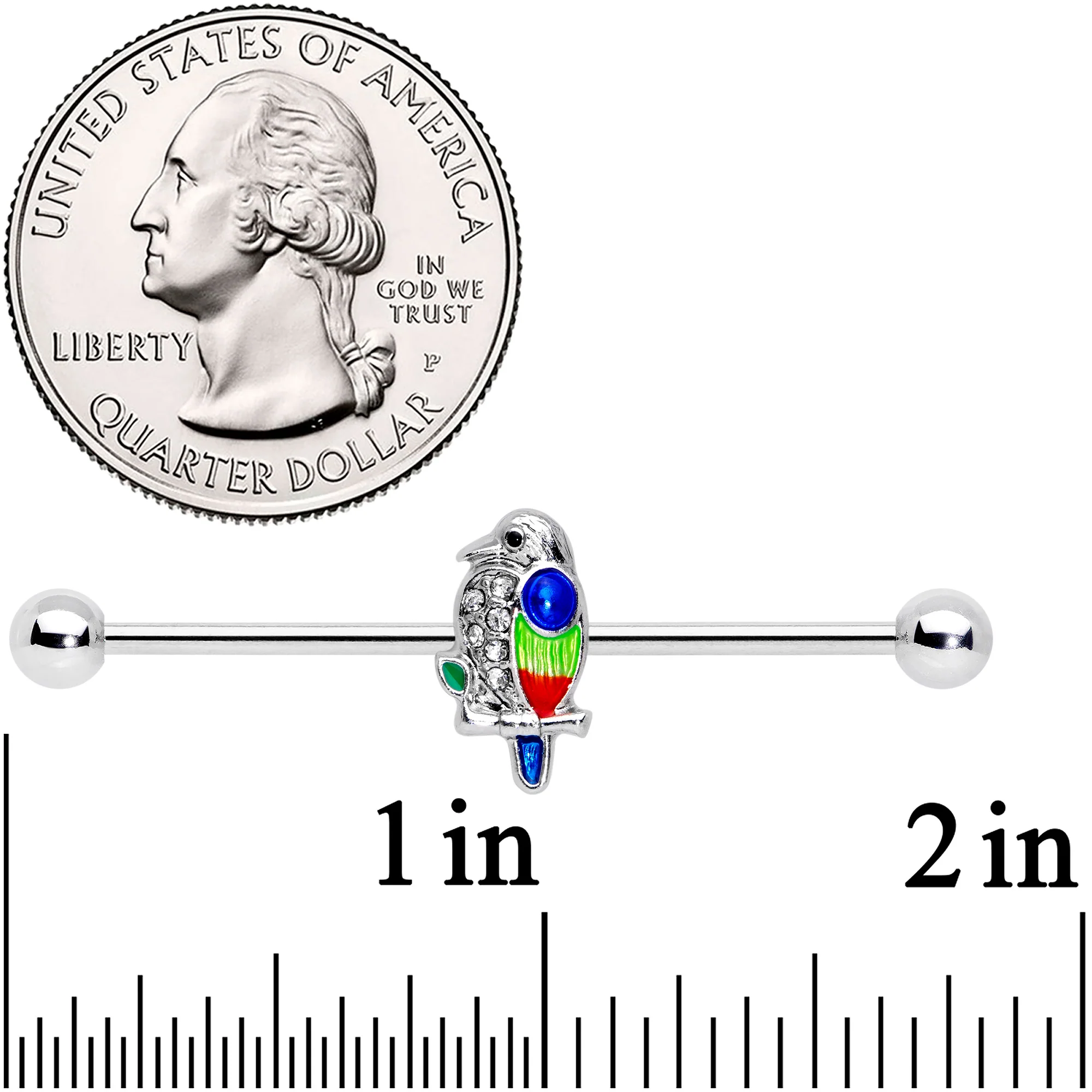 14G Clear Gem Tropical Parrot Bird Industrial Barbell 38mm - Image 3