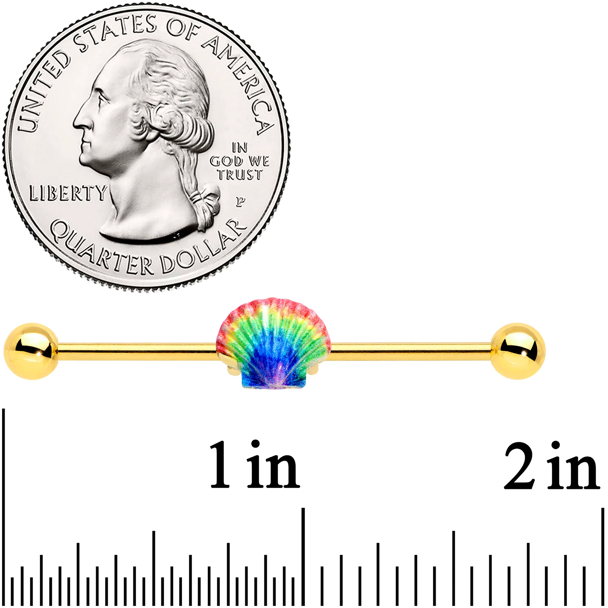 14G Gold Tone Rainbow Scallop Shell Industrial Barbell 38mm - Image 2