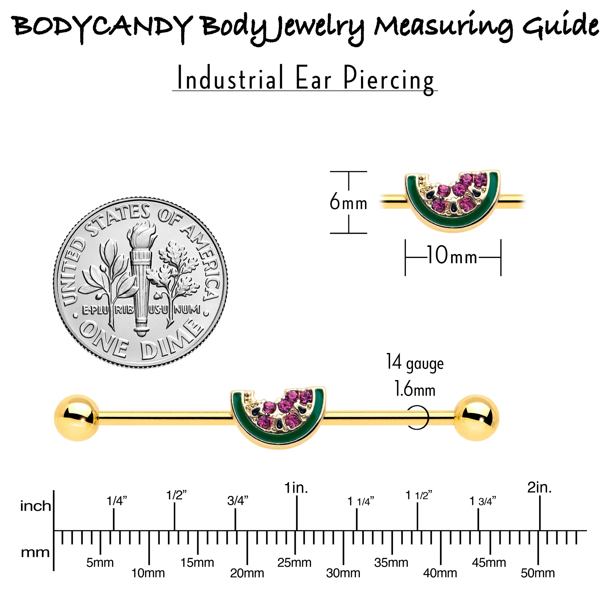 14G Gold Tone Watermelon Bite Industrial Barbell 38mm - Image 6