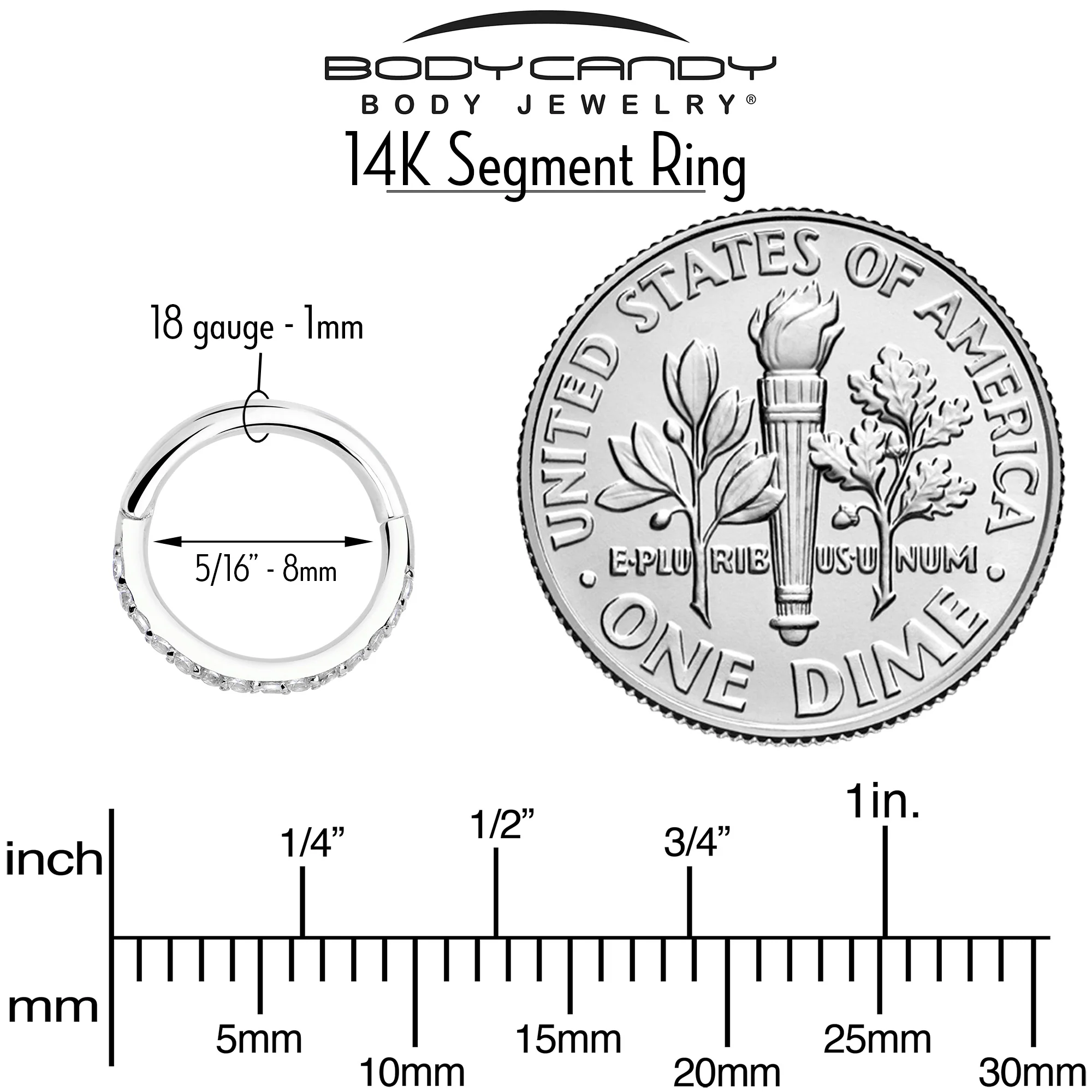 14k Solid White Gold Hinged Segment Ring Forward Facing CZ 18G 5/16 - Image 3