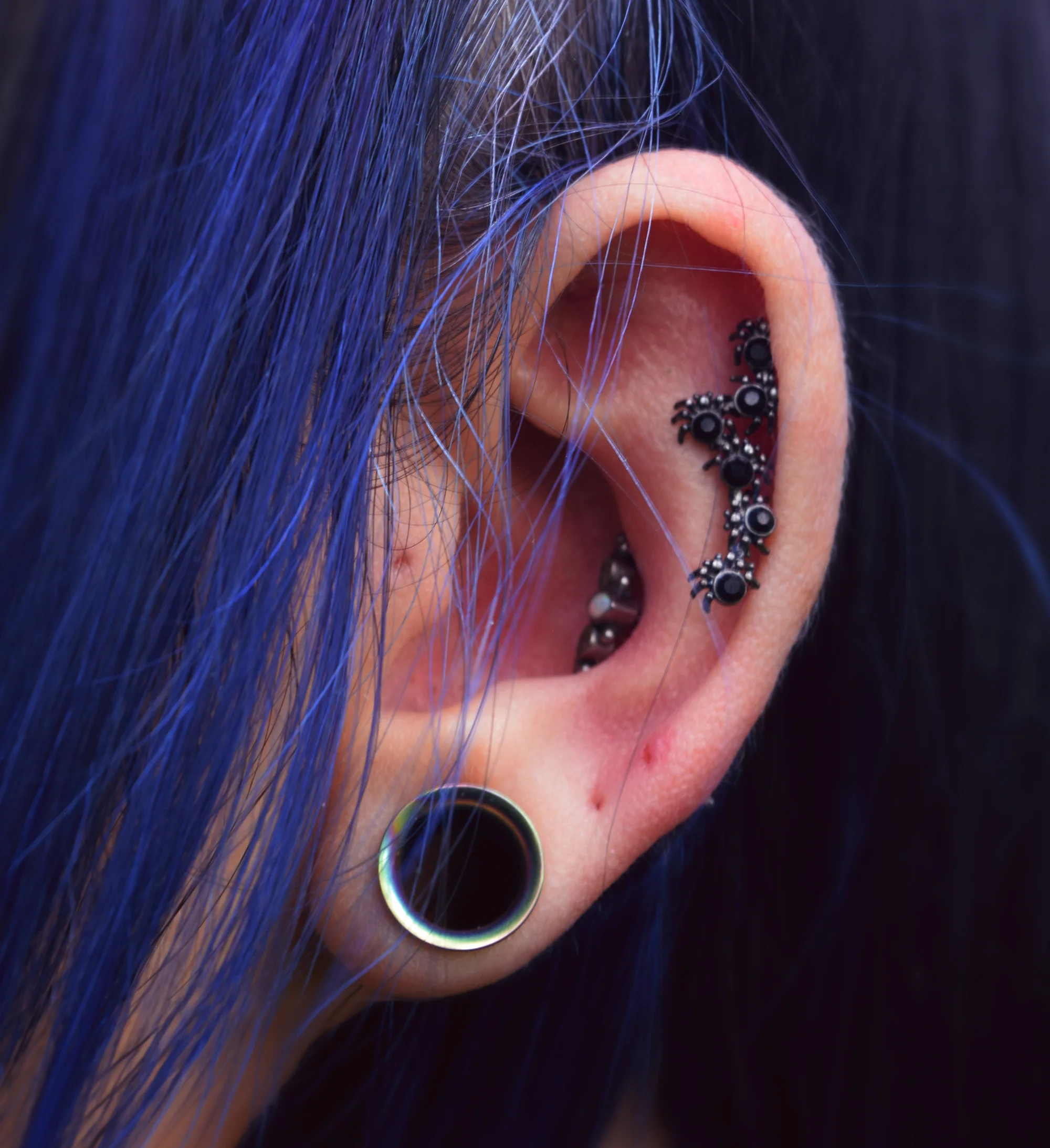 16G 1/4 Black CZ Gem Black Spider Halloween Cartilage Tragus - Image 2
