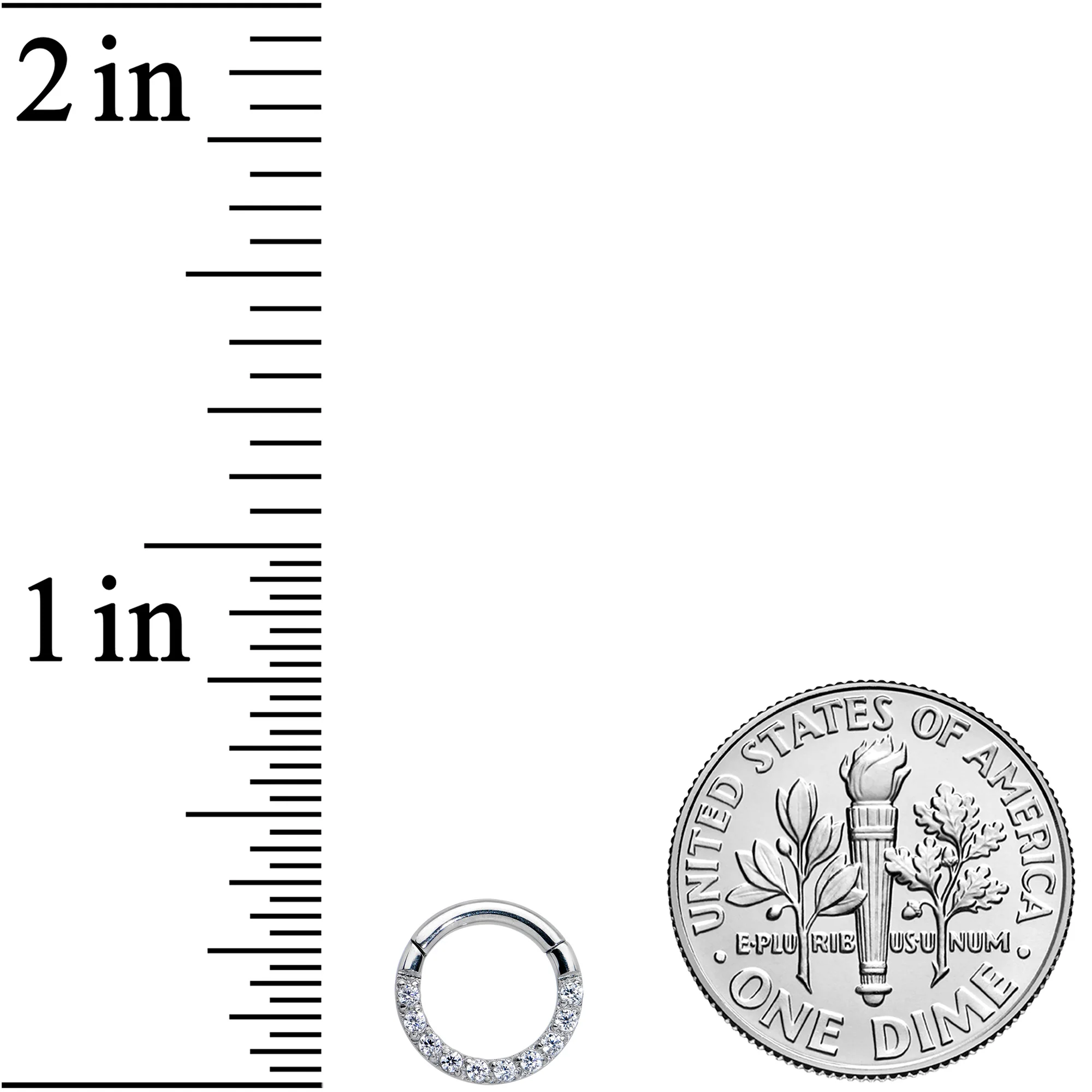 16G 1/4 Clear CZ Gem G23 Titanium Paved Hinged Segment Ring - Image 3