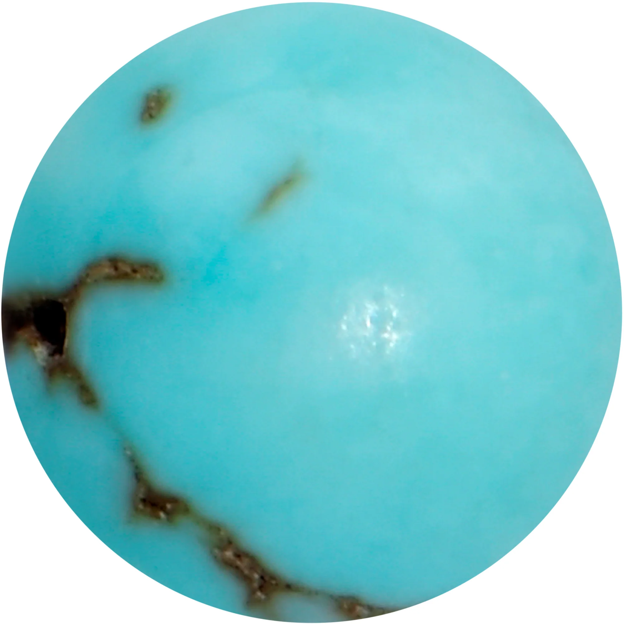 16G 1/4 Elegant Blue Turquoise Internally Threaded Labret Tragus - Image 2