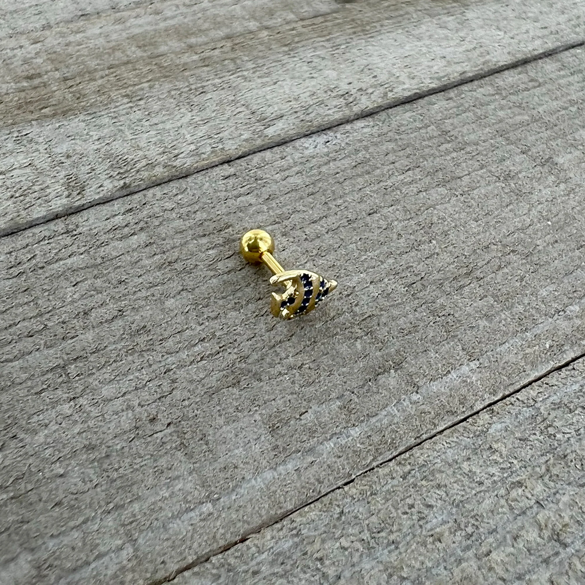 16G 1/4 Gold Tone Blue Adorable Angelfish Cartilage Tragus - Image 5