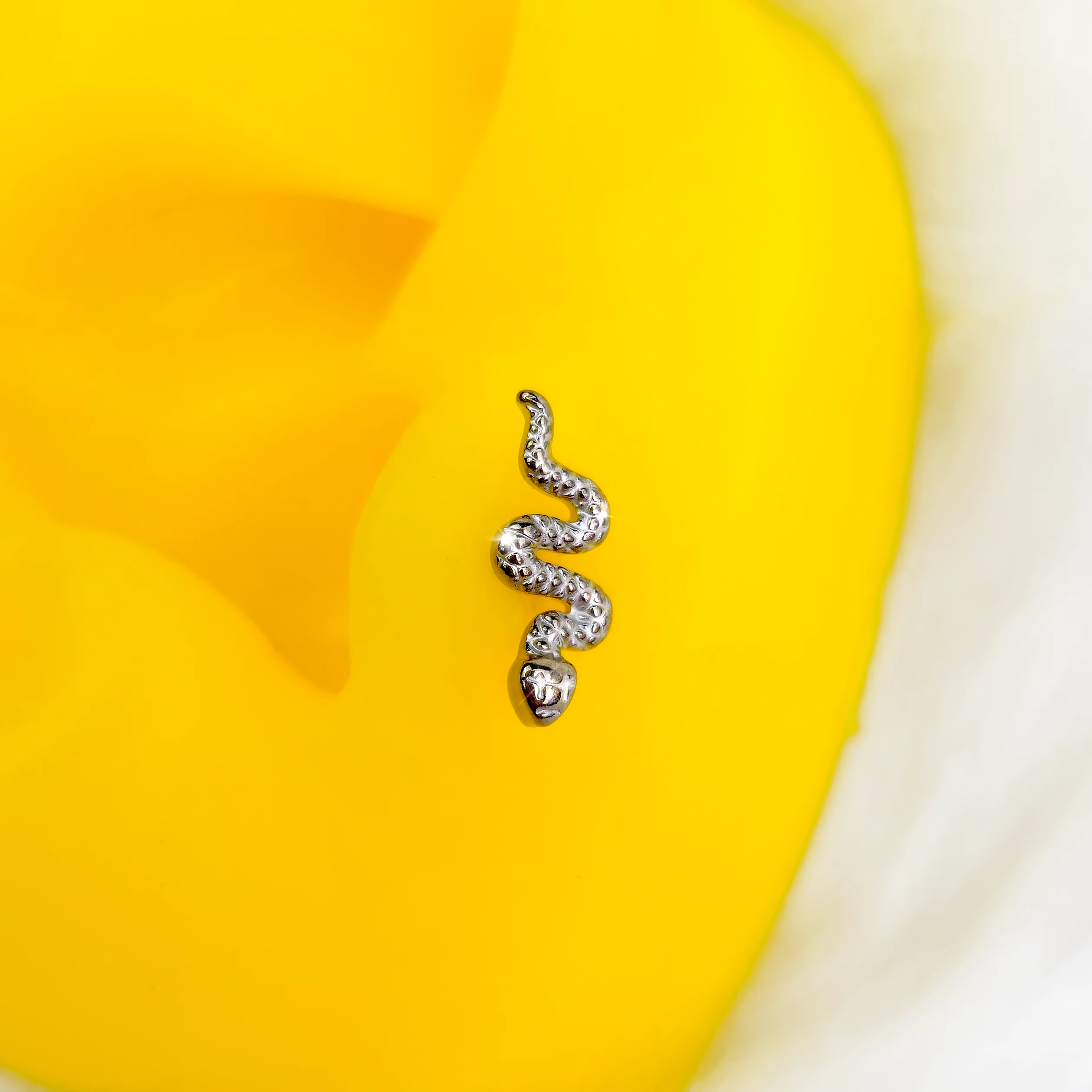 16G 1/4 Grade 23 Titanium Snake Threadless Push In Labret Tragus - Image 2
