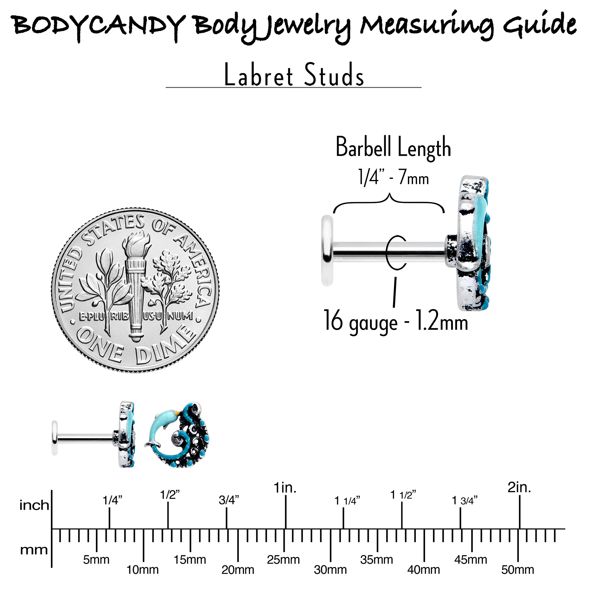 16G 1/4 Leaping Blue Dolphin Labret - Image 7