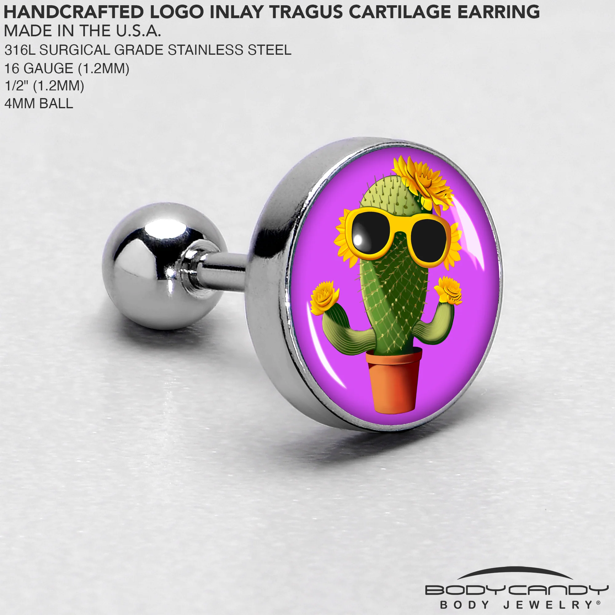 16G 1/4 Sunflower Cactus Cartilage Tragus Earring by Onyx O - Image 4