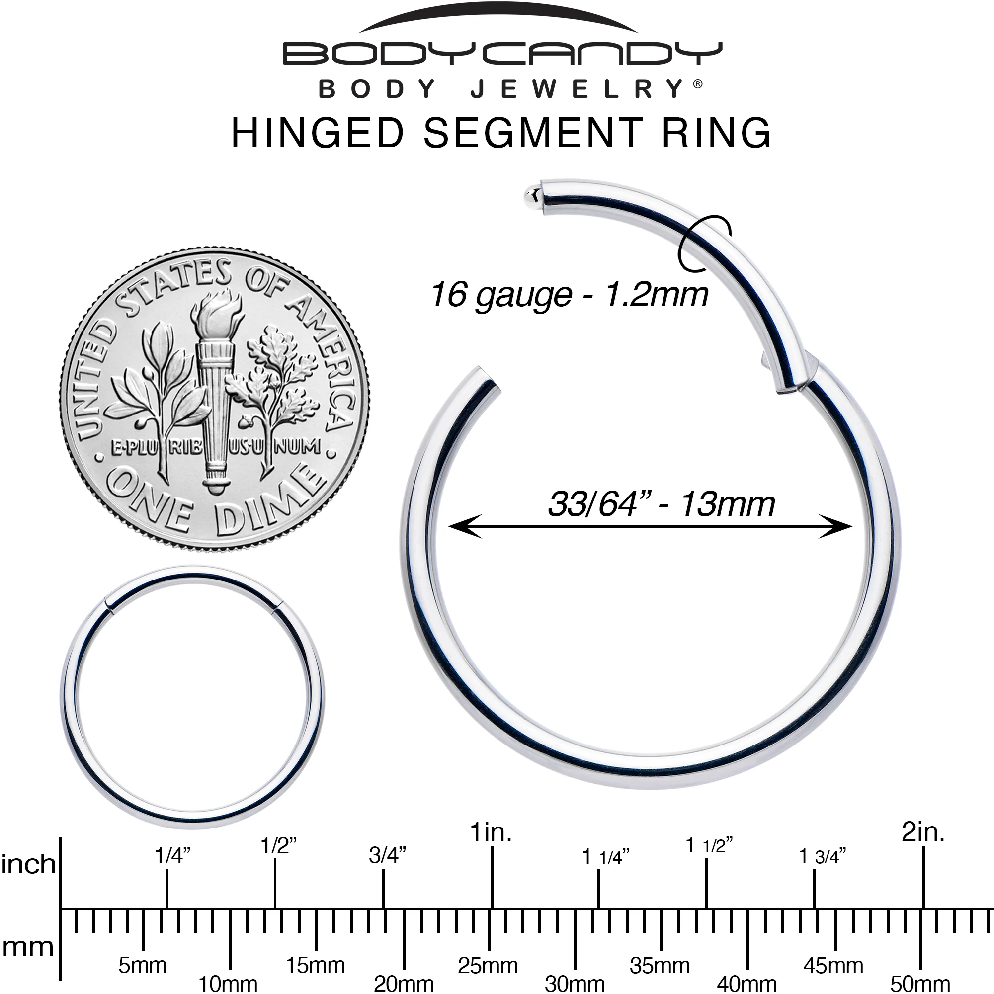 16G 13mm 316L Surgical Steel Precision Hinged Segment Hoop - Image 6