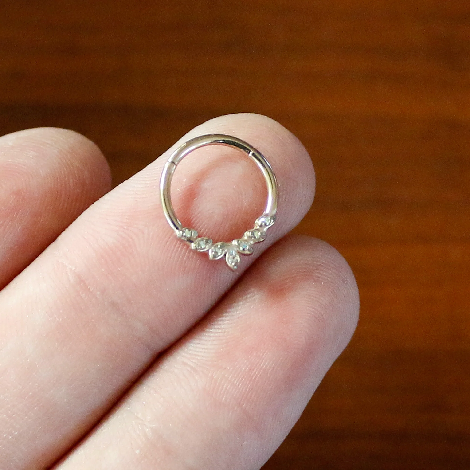 16G 3/8 Aurora CZ Gem Rose Gold Hue Seven Leaf Hinged Segment Ring - Image 5