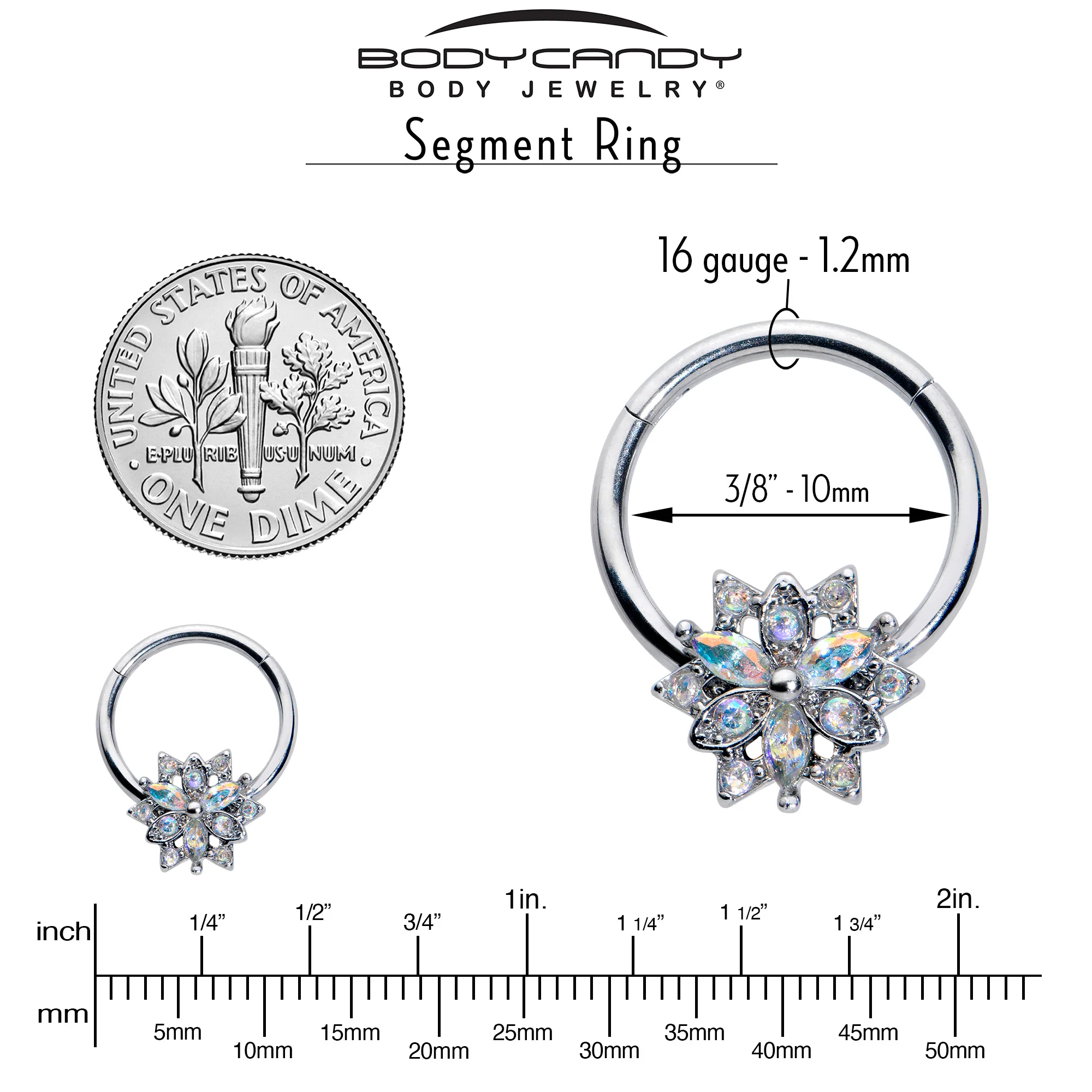 16G 3/8 Aurora CZ Gem Snowflake Style Hinged Segment Ring - Image 4