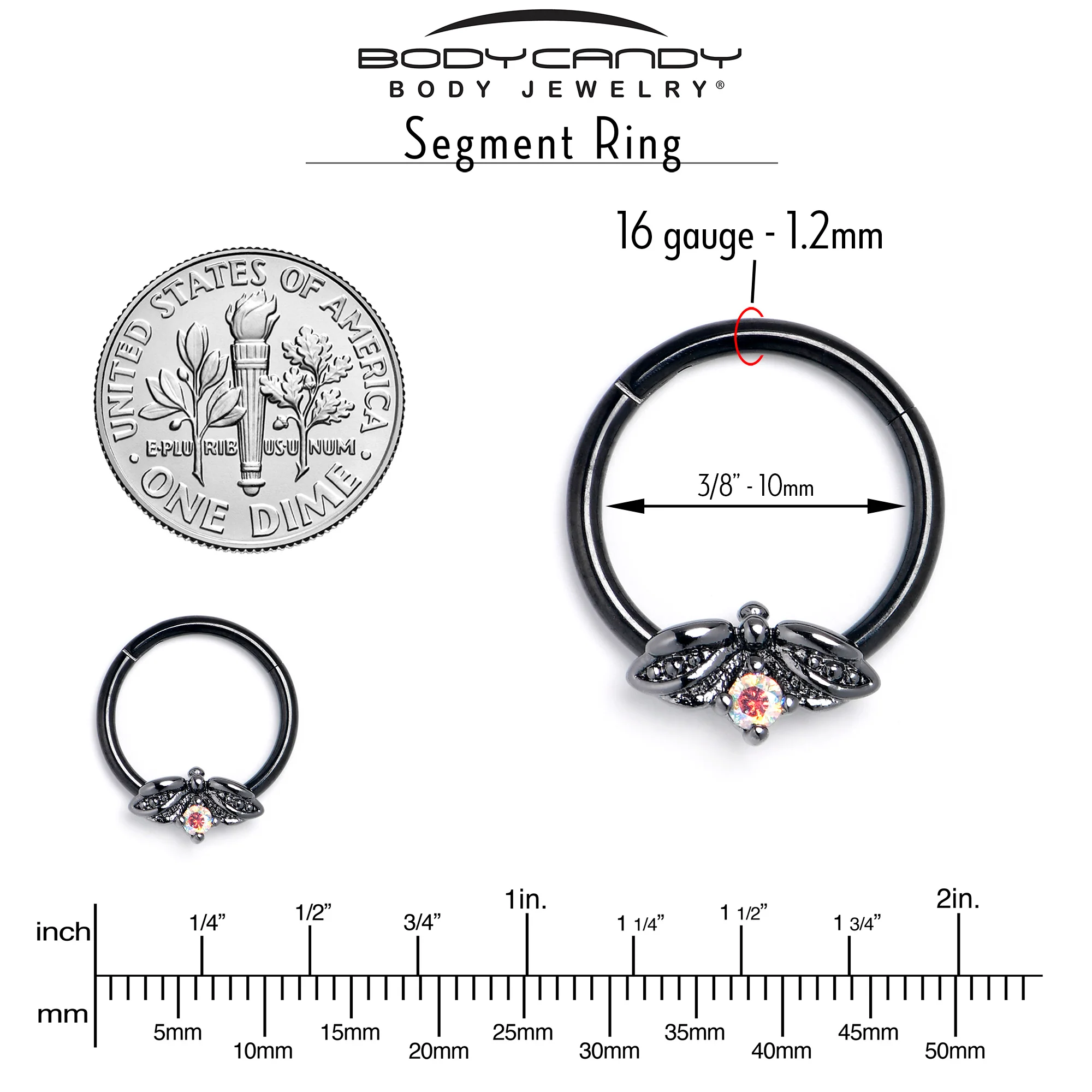 16G 3/8 Aurora Gem Black Beauty Bug Hinged Segment Ring - Image 4