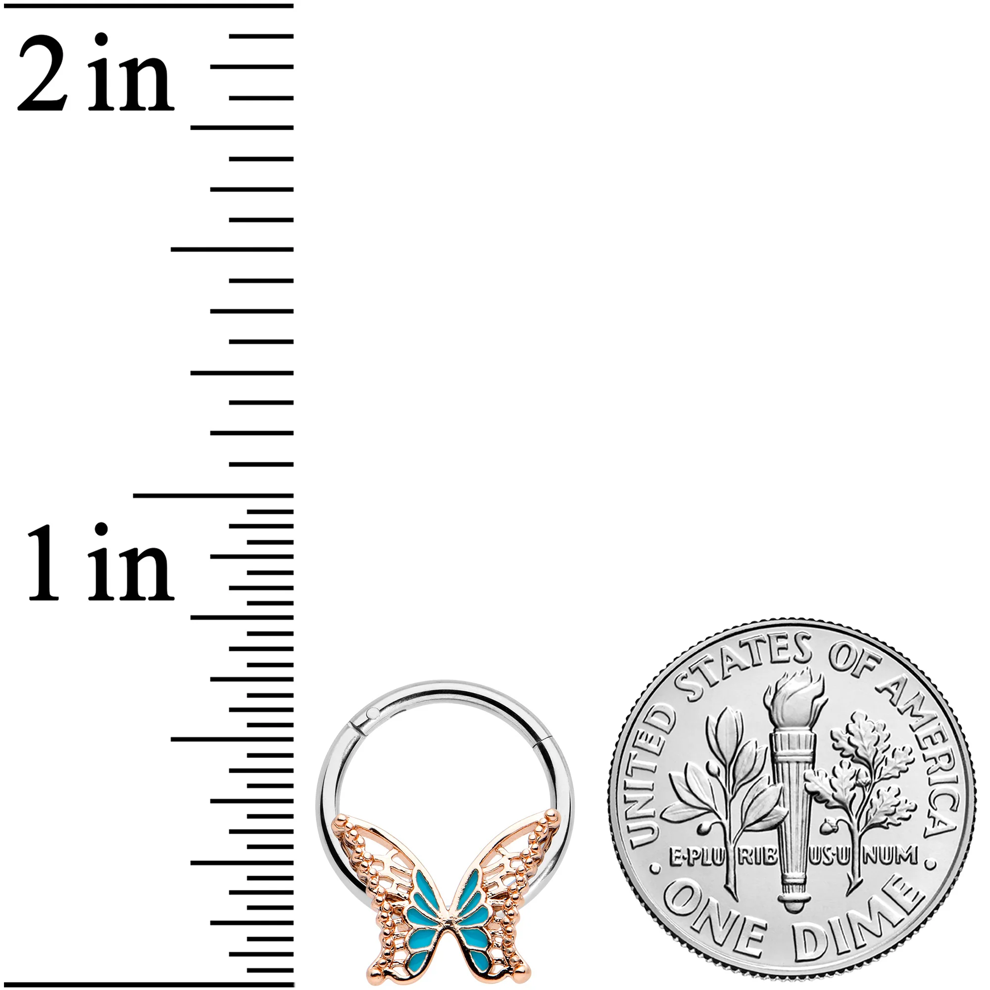 16G 3/8 Bit of Blue Butterfly Hinged Segment Ring - Image 3