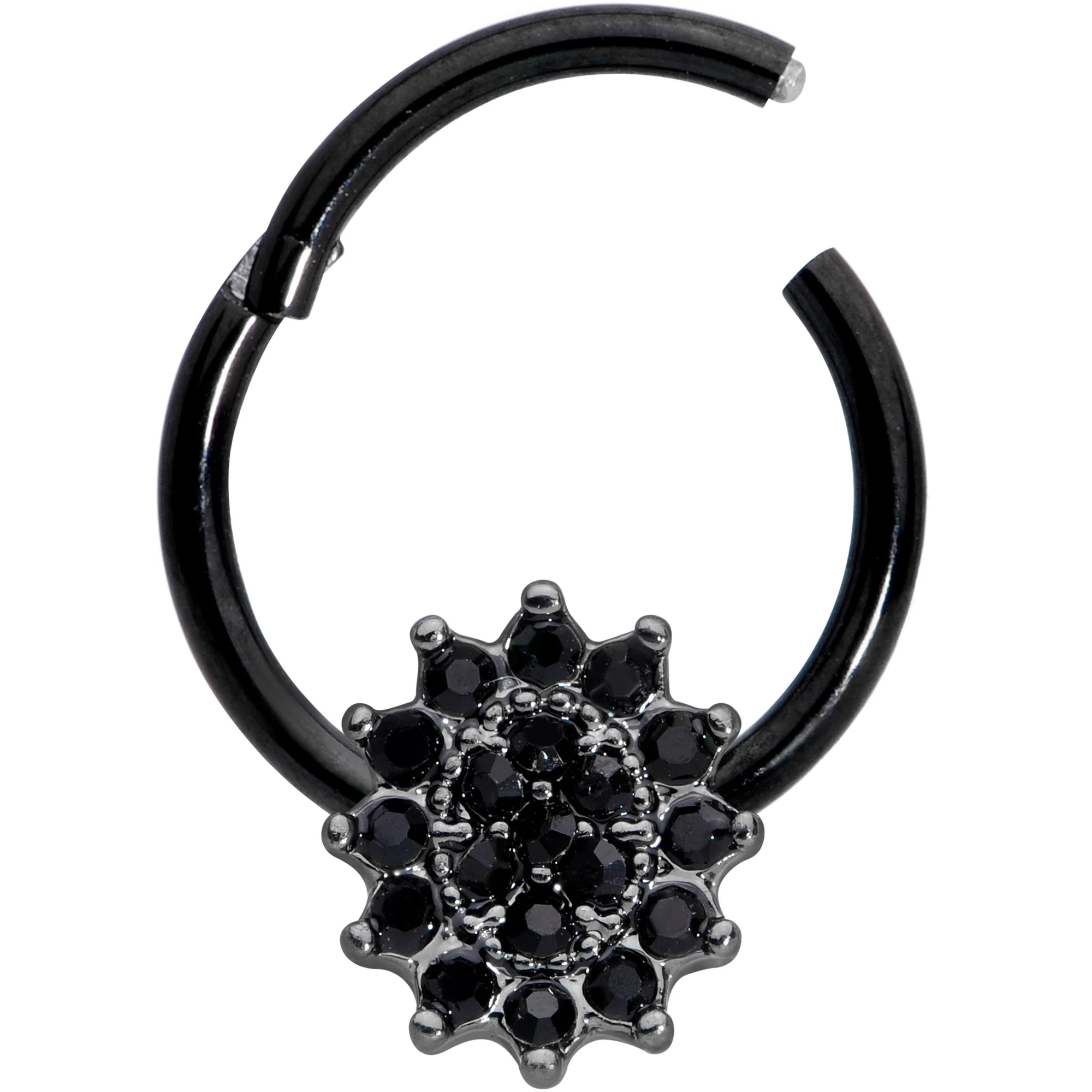 16G 3/8 Black Gem Black Oval Hinged Segment Ring - Image 2