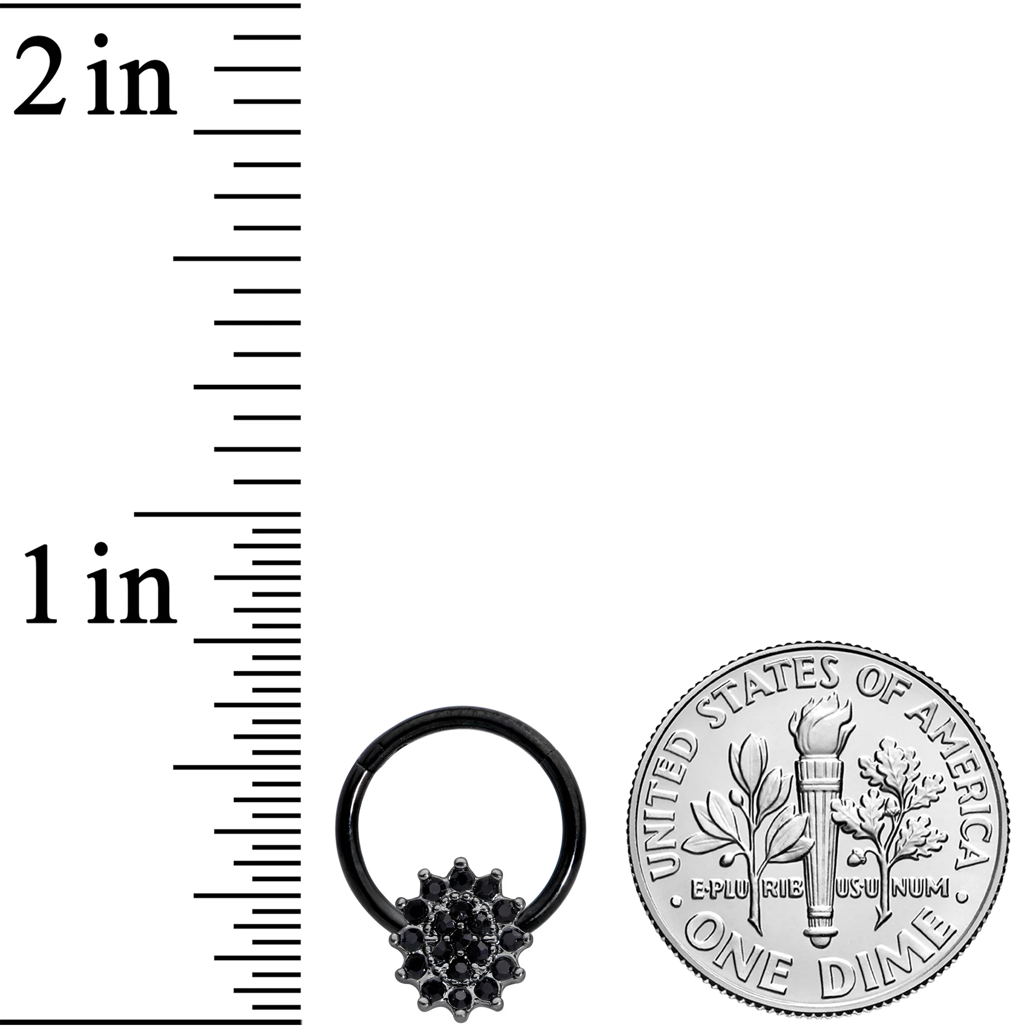 16G 3/8 Black Gem Black Oval Hinged Segment Ring - Image 3