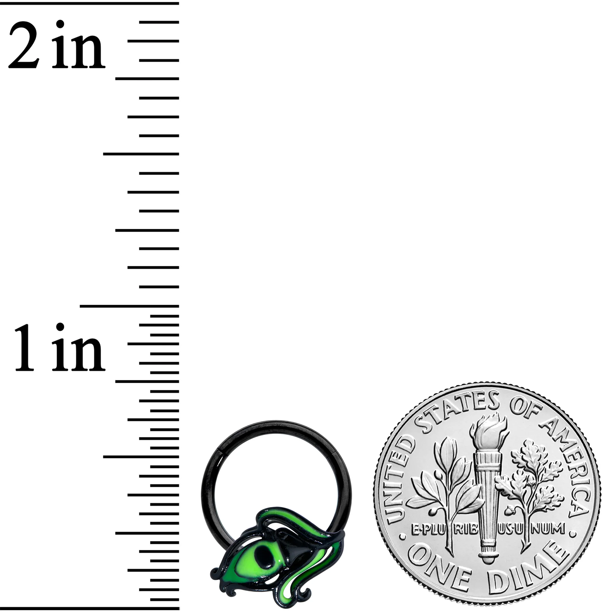 16G 3/8 Black Striking Peacock Feather Hinged Segment Ring - Image 3