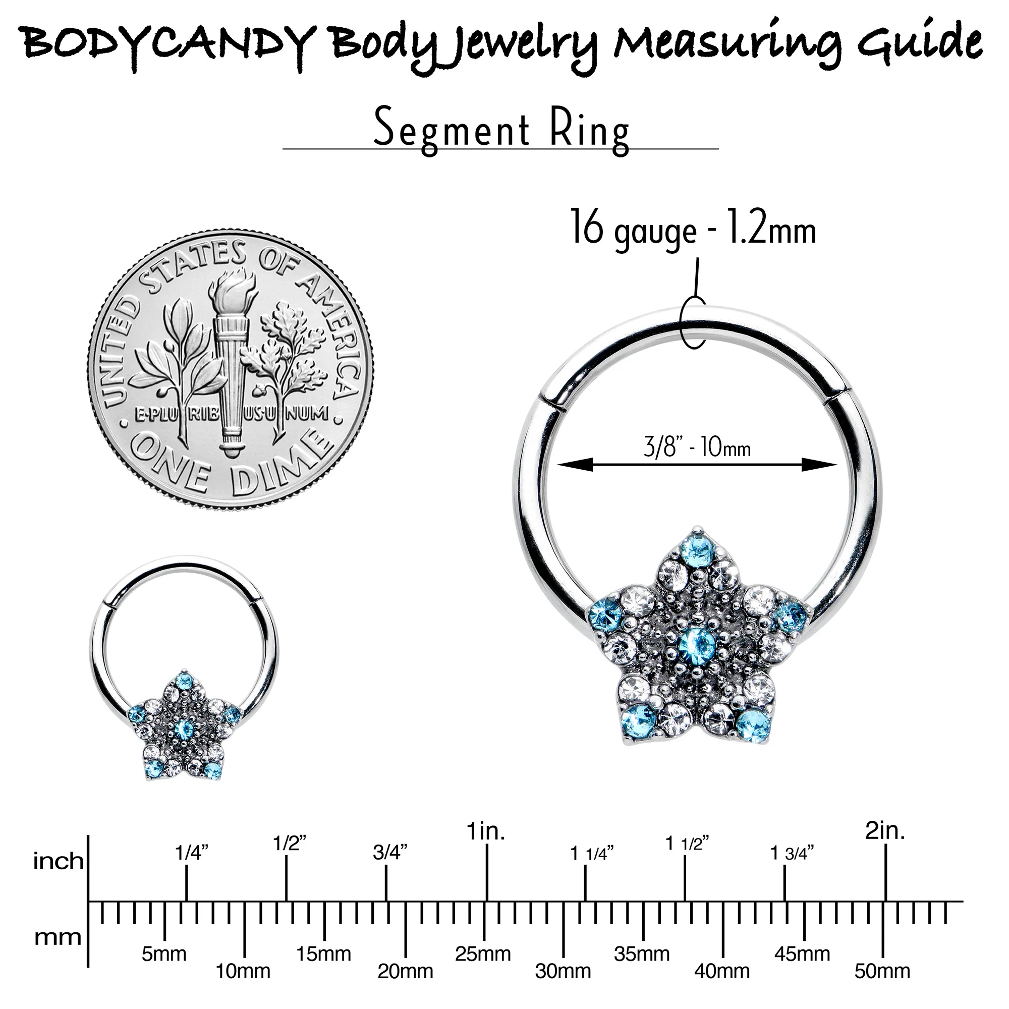 16G 3/8 Blue Clear Gem Opulent Flower Hinged Segment Ring - Image 6