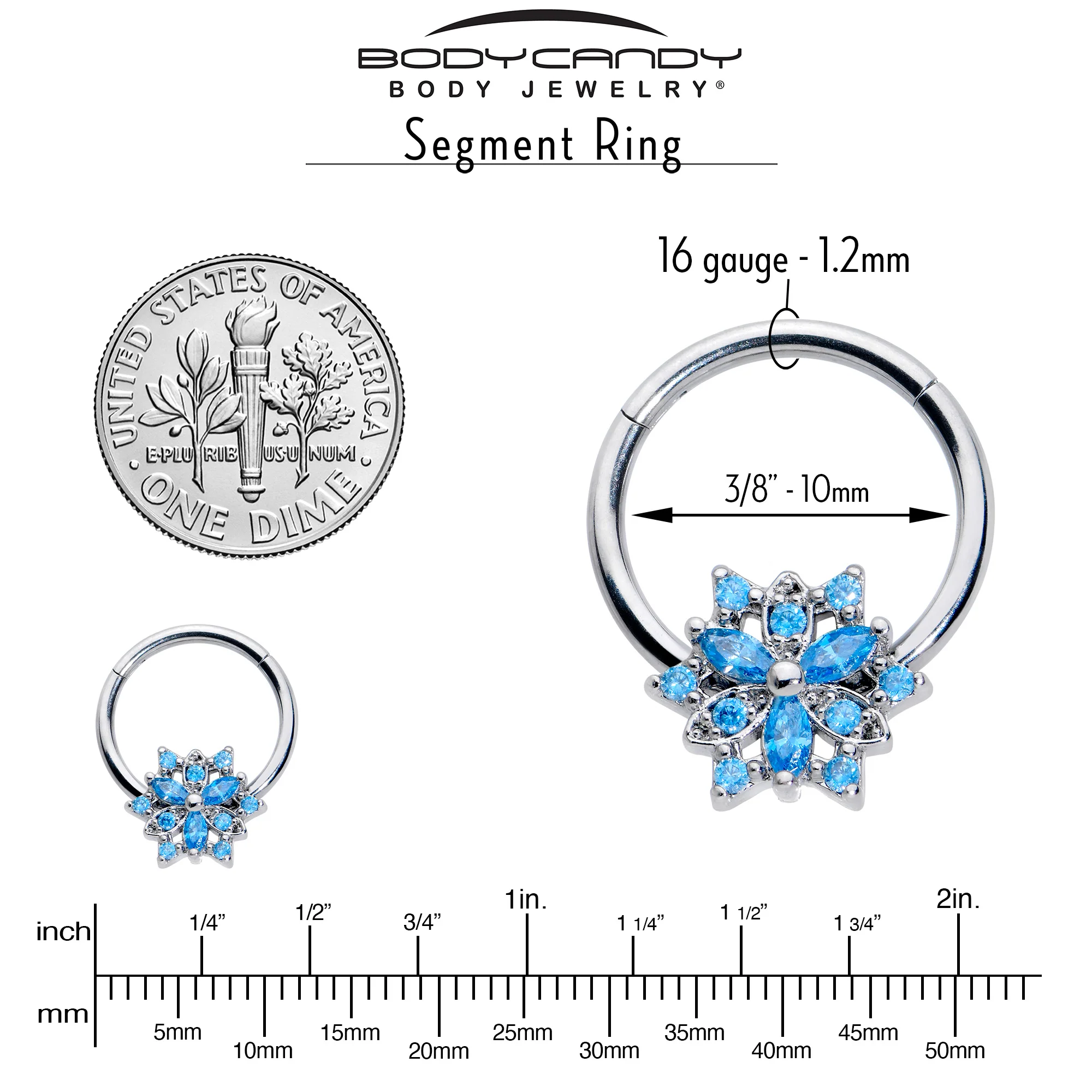 16G 3/8 Blue CZ Gem Snowflake Style Hinged Segment Ring - Image 4