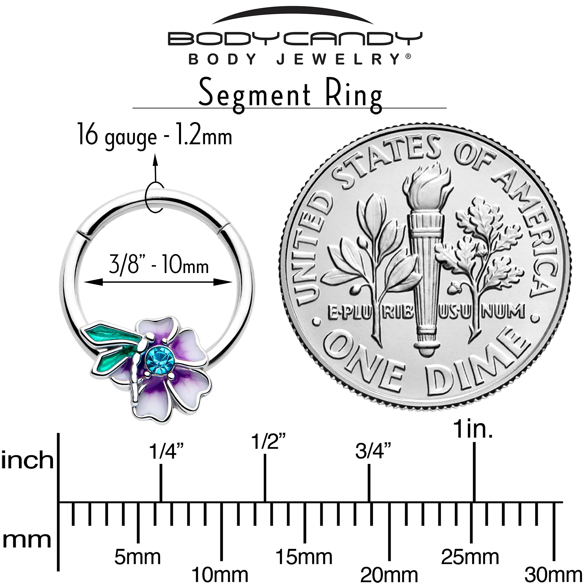 16G 3/8 Blue Gem Faerie Flower Purple Hinged Segment Ring - Image 4