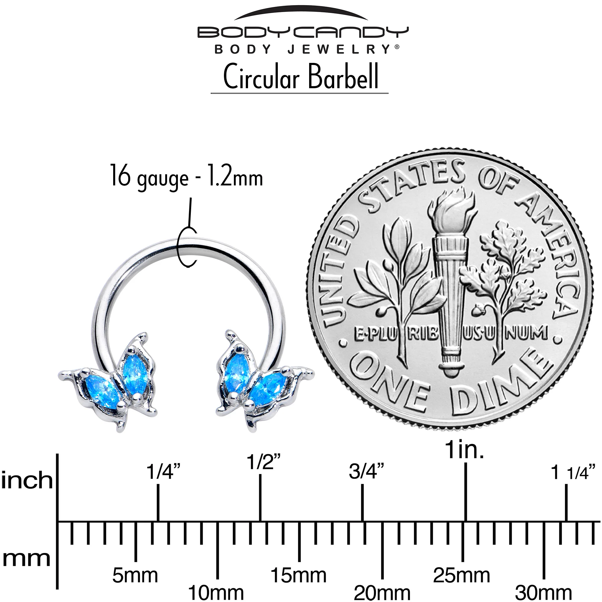 16G 3/8 Blue Gem Fancy Fab Butterfly Horseshoe Circular Barbell - Image 6