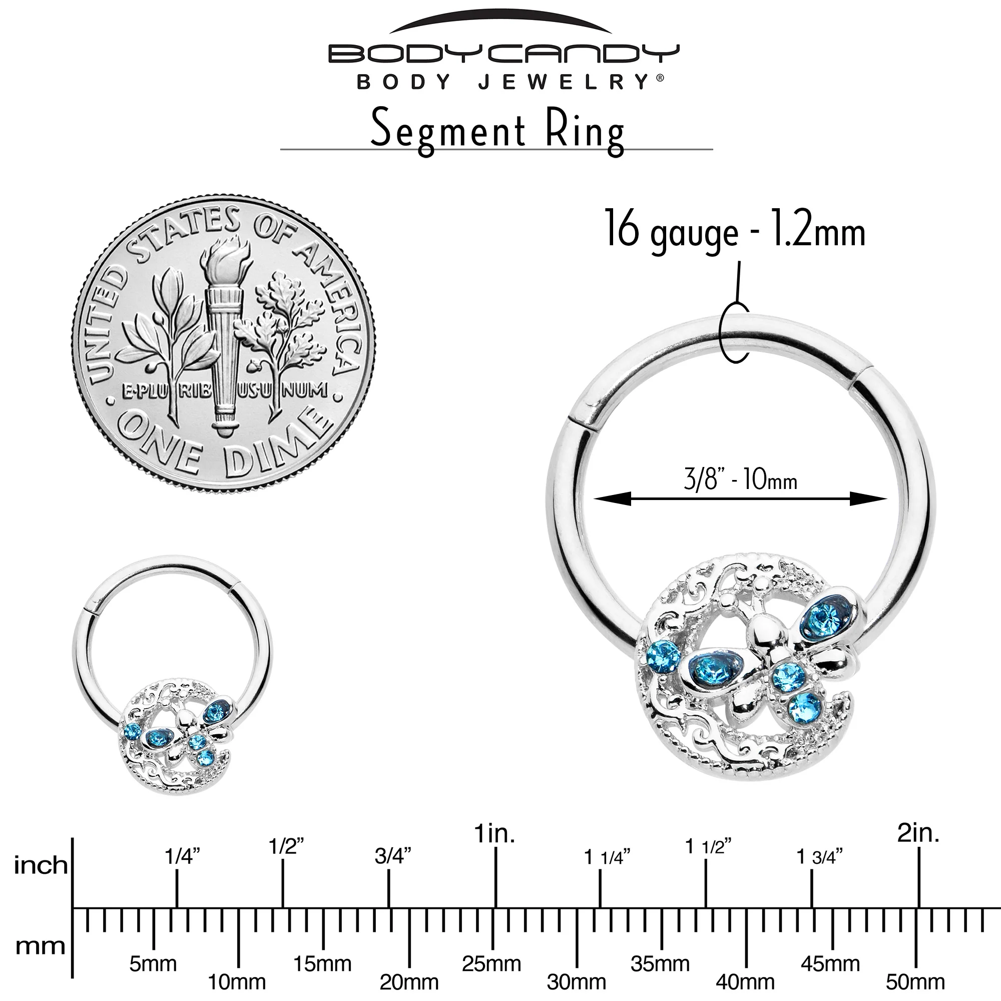 16G 3/8 Blue Gem Lunar Dragonfly Hinged Segment Ring - Image 6
