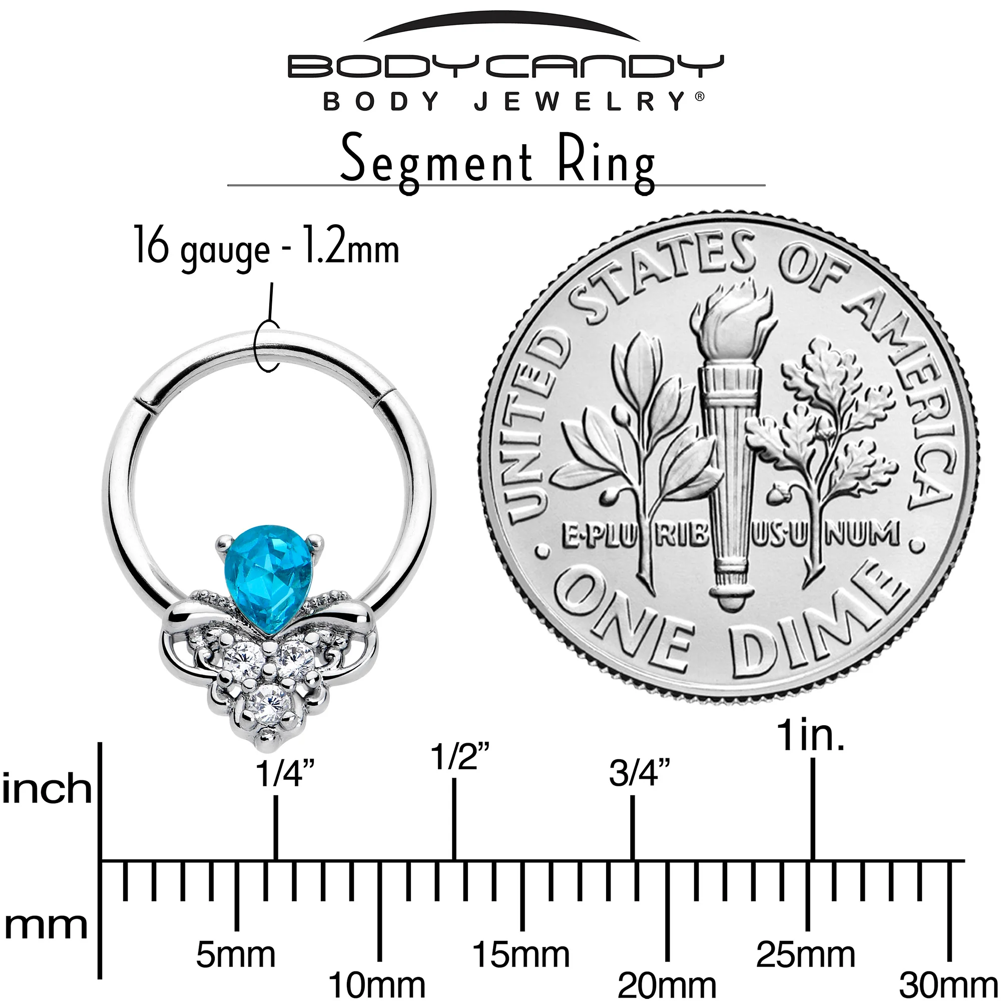 16G 3/8 Blue Gem Style Simplicity Hinged Segment Ring - Image 4