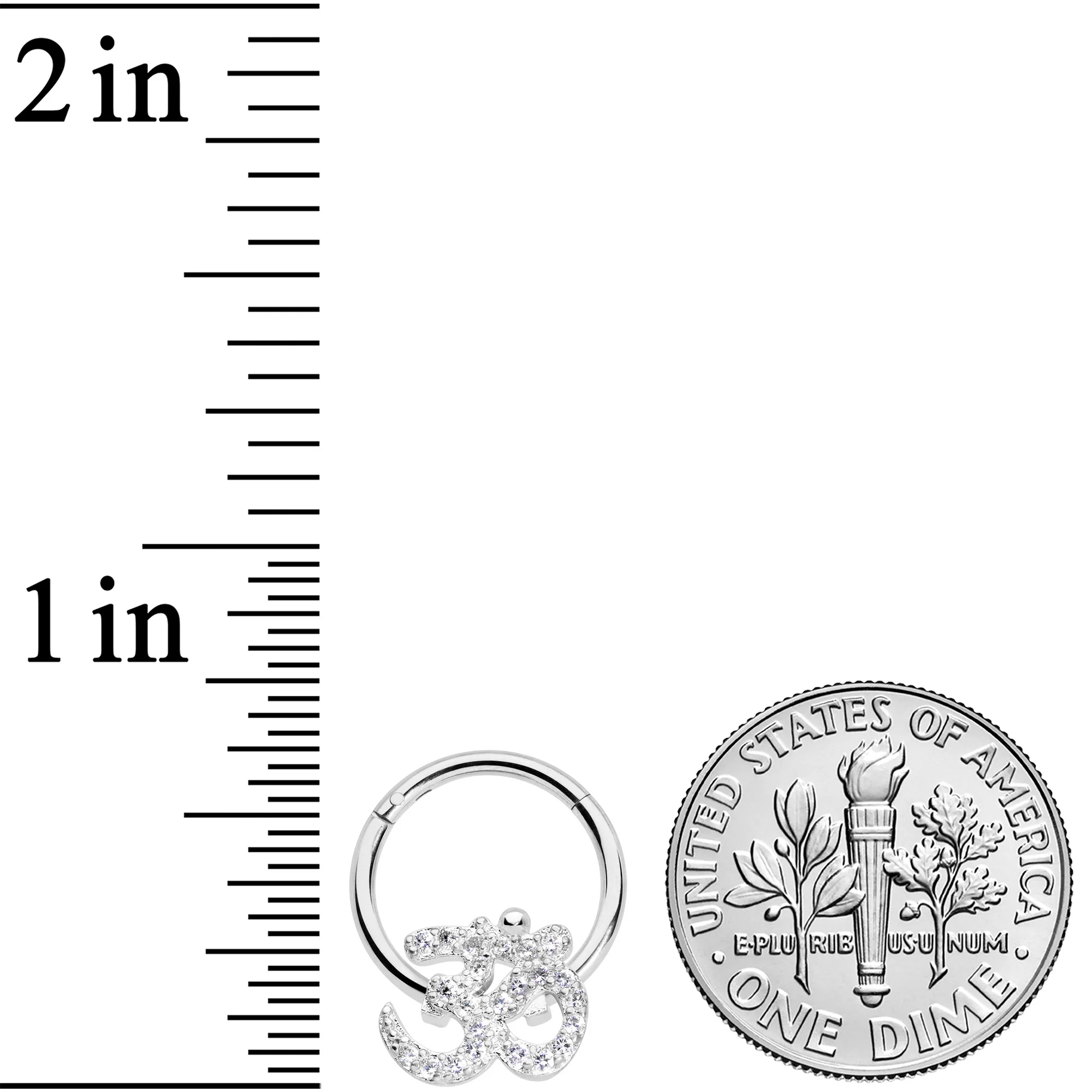16G 3/8 Clear CZ Gem Amazing Om Hinged Segment Ring - Image 3