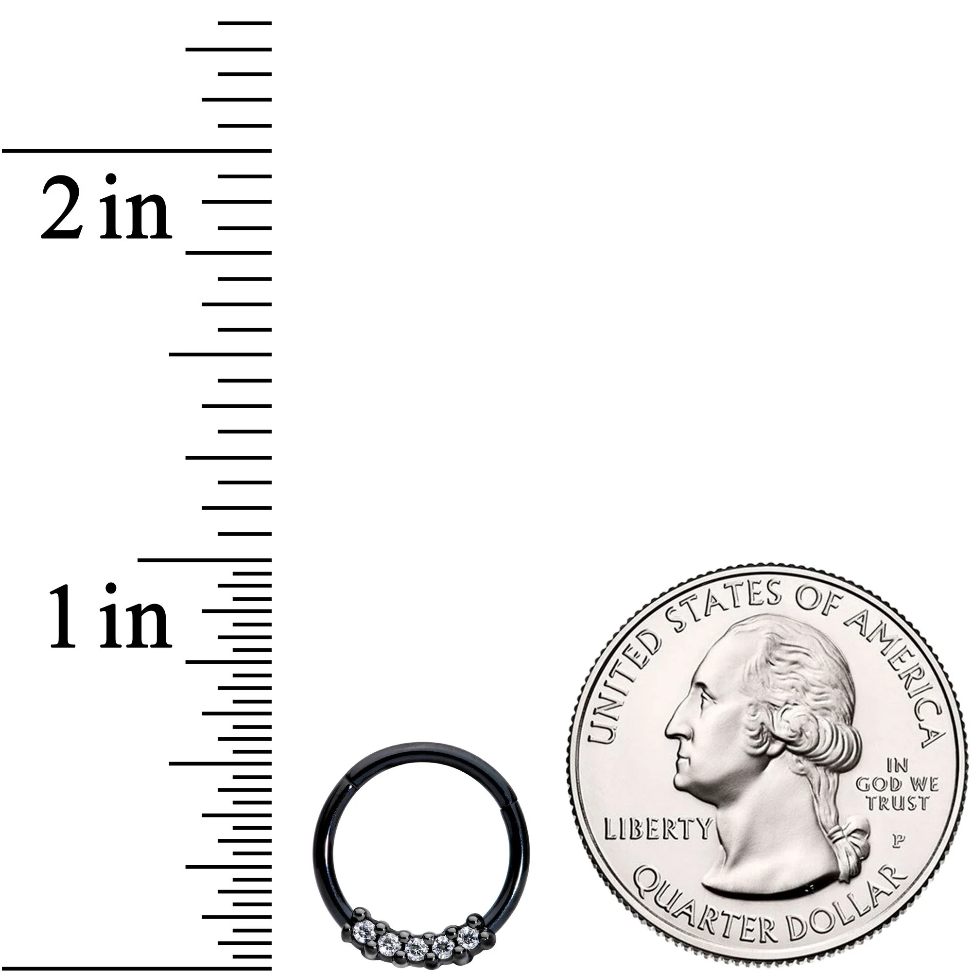 16G 3/8 Clear CZ Gem Black Hinged Segment Ring - Image 3