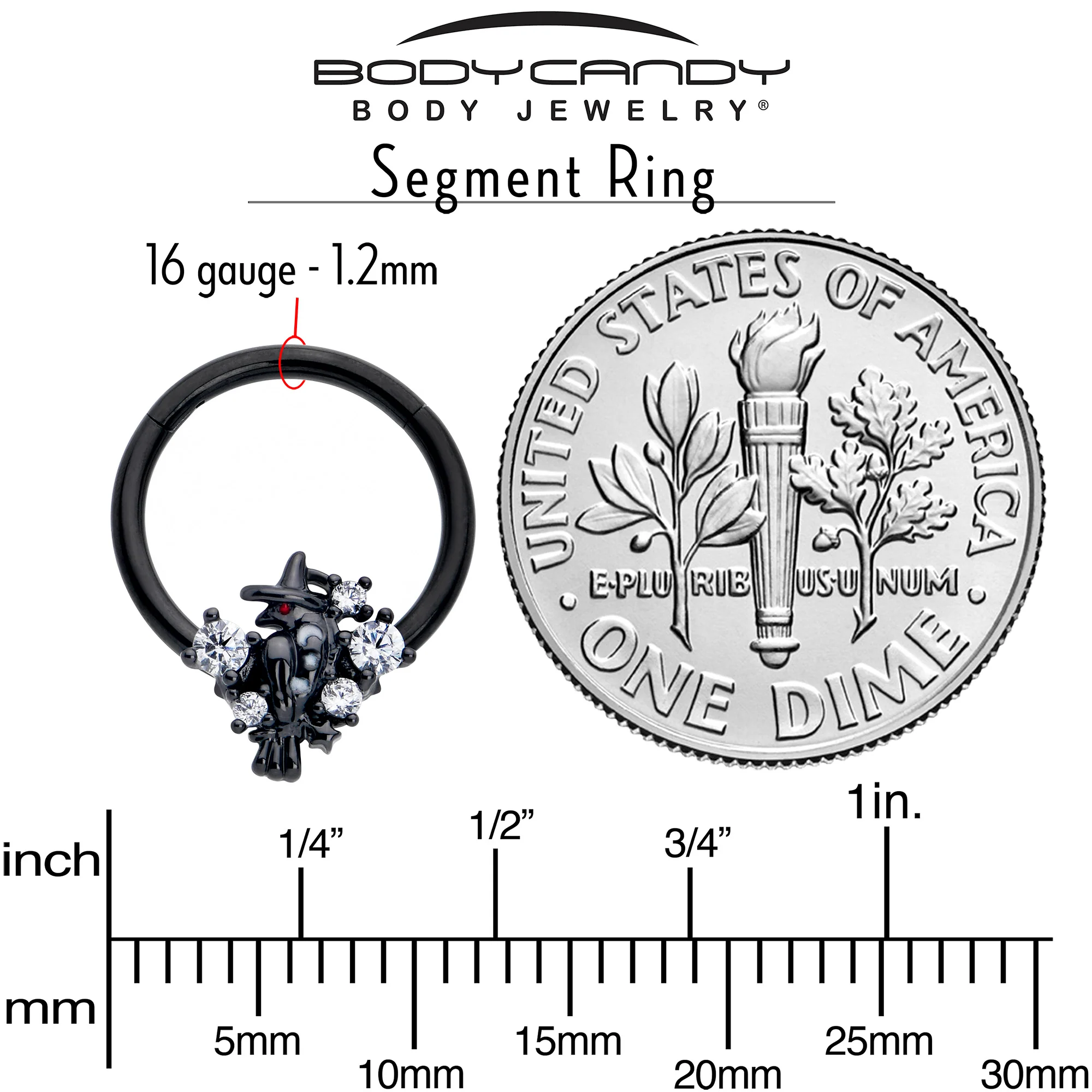 16G 3/8 Clear CZ Gem Black Raven Witch Hinged Segment Ring - Image 4