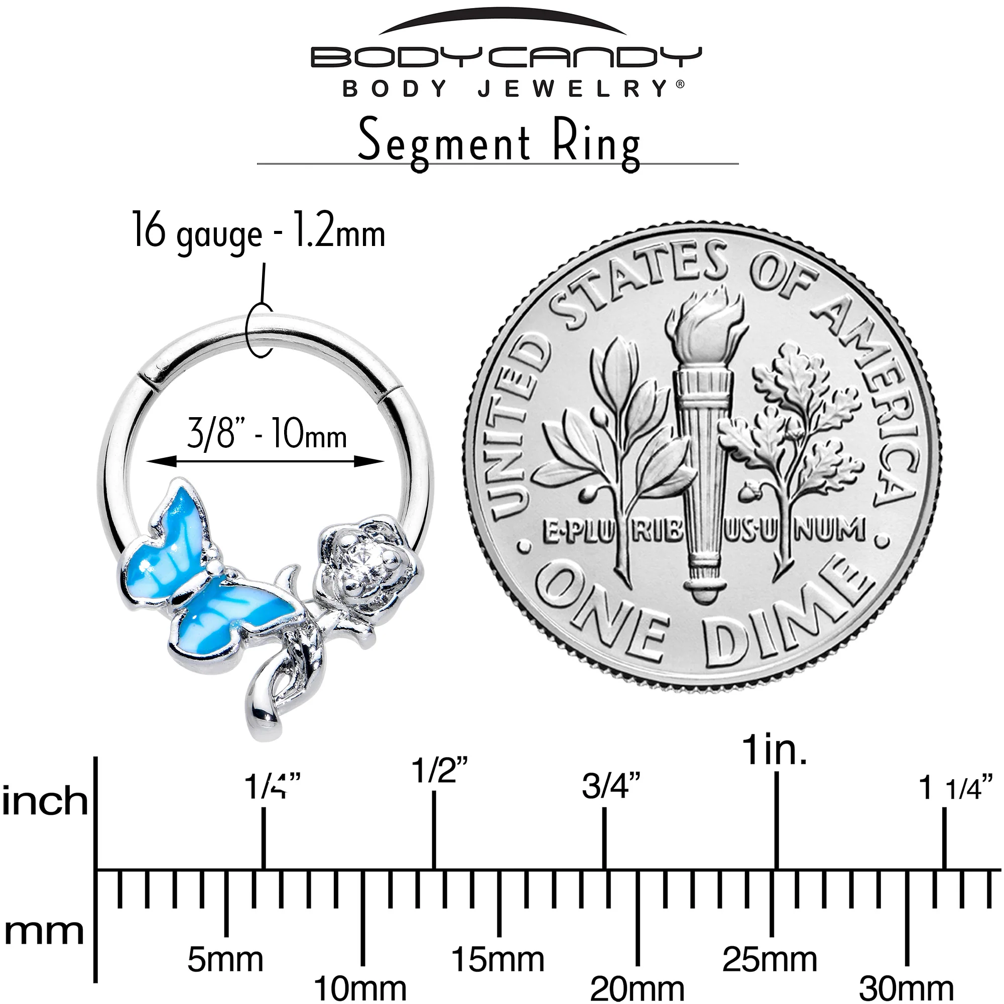 16G 3/8 Clear CZ Gem Butterfly Rose Blue Hinged Segment Ring - Image 6