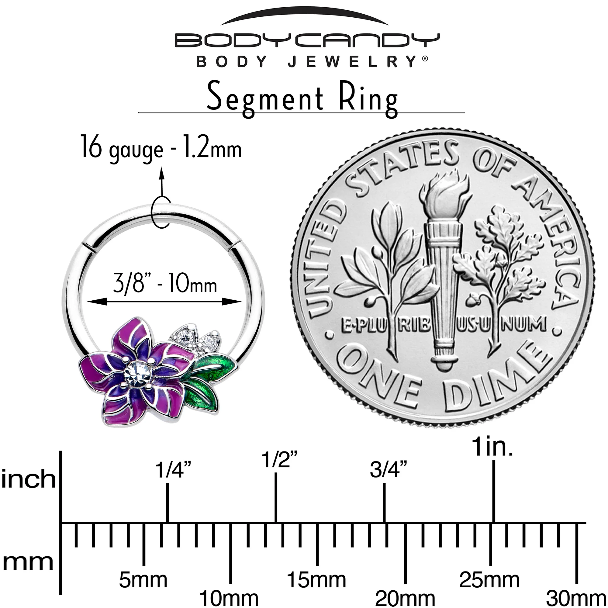 16G 3/8 Clear CZ Gem Flower Purple Hinged Segment Ring - Image 4