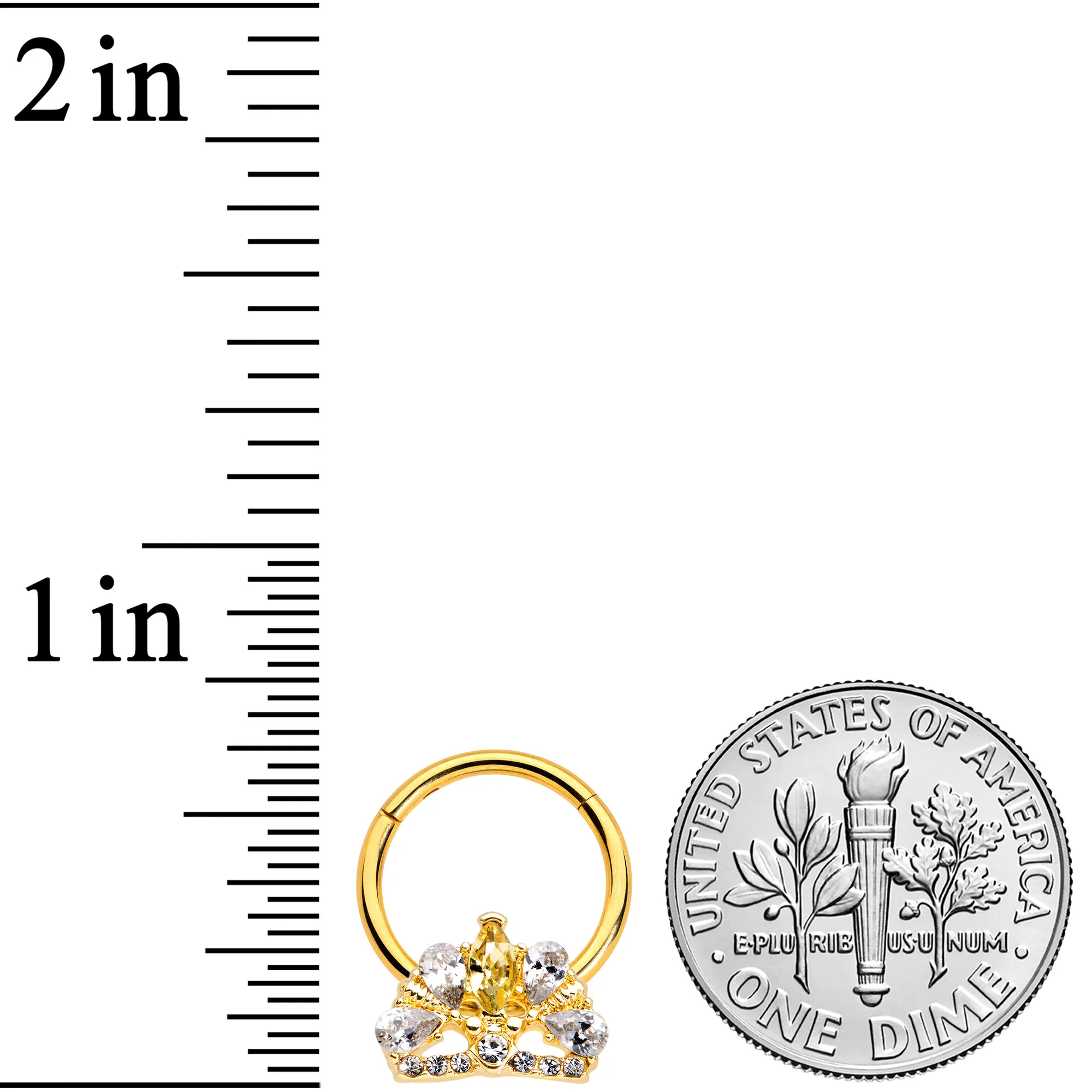 16G 3/8 Clear CZ Gem Gold Tone Lavish Crown Hinged Segment Ring - Image 3