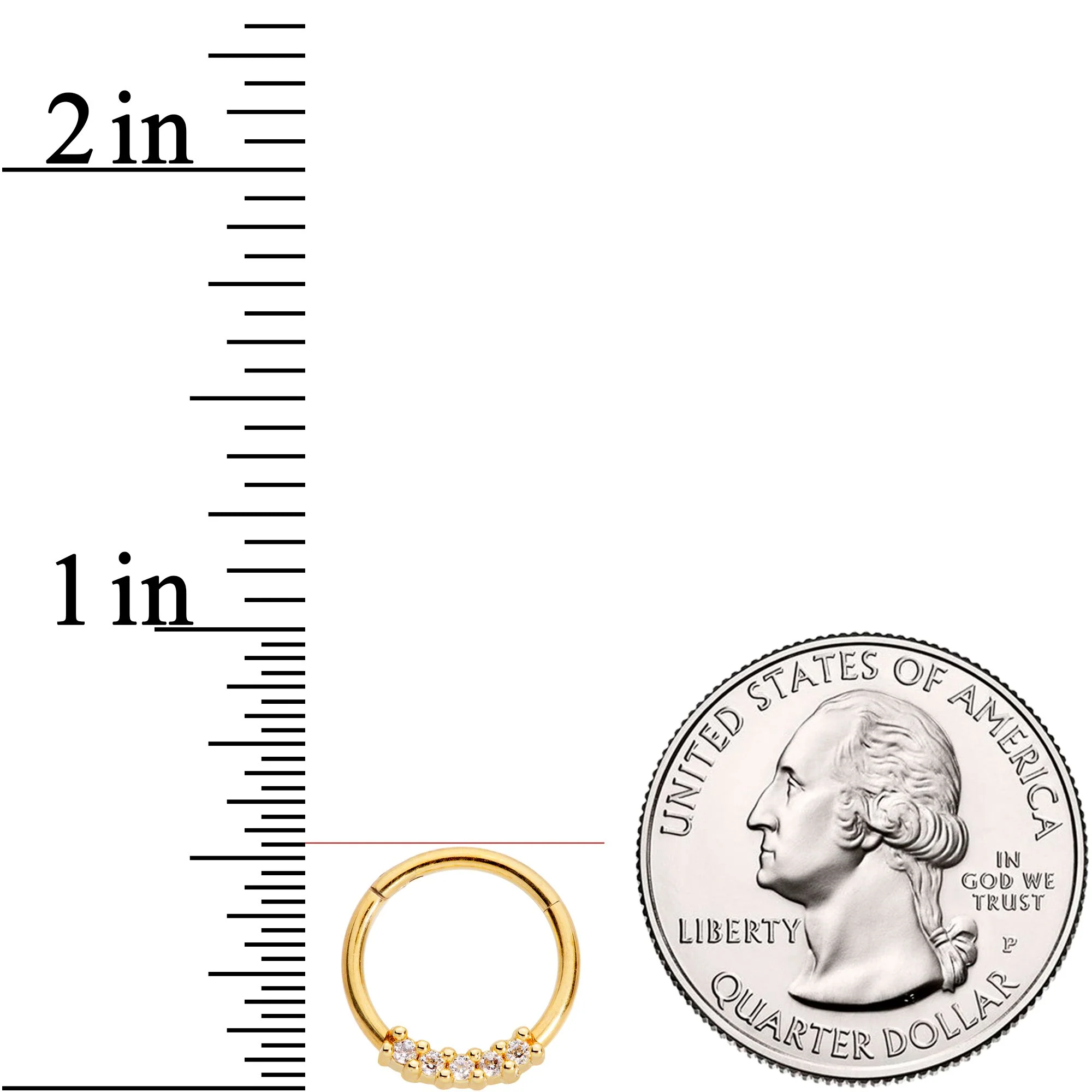 16G 3/8 Clear CZ Gem Gold Tone Quartet Hinged Segment Ring - Image 3