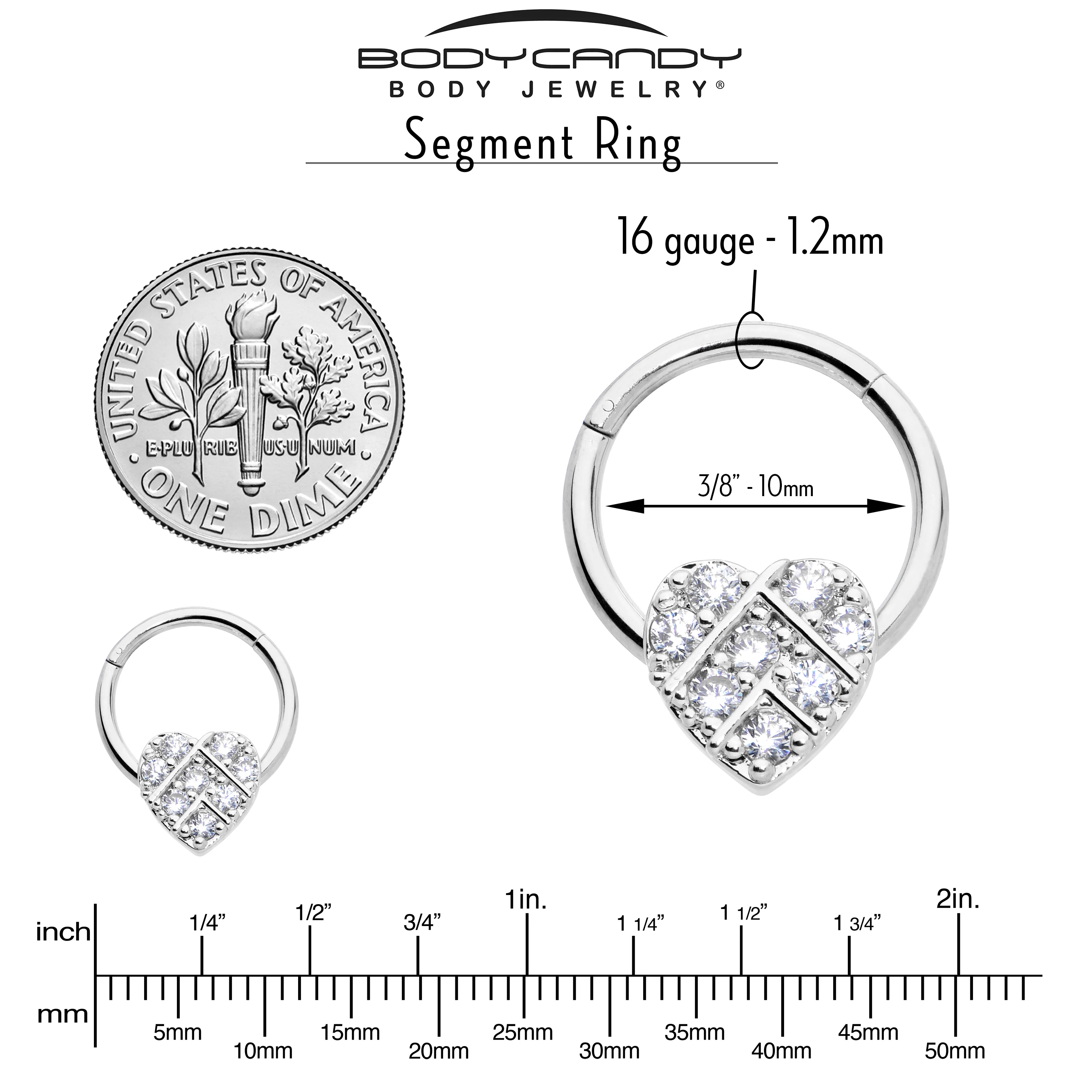 16G 3/8 Clear CZ Gem Lattice Heart Hinged Segment Ring - Image 3