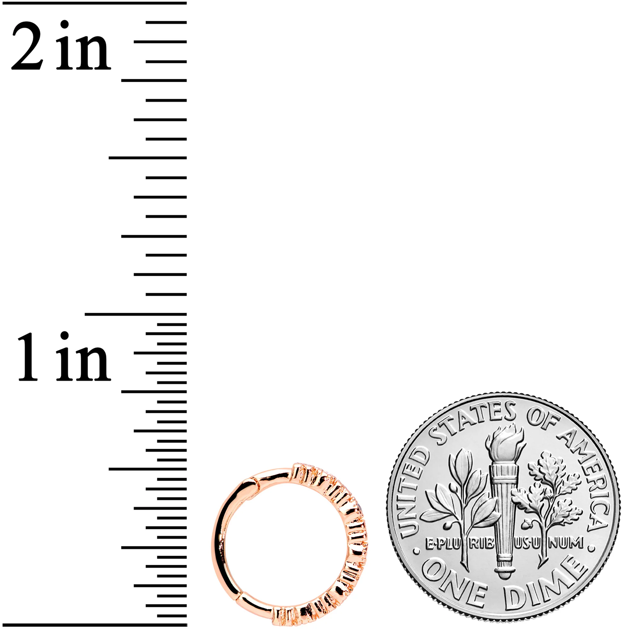 16G 3/8 Clear CZ Gem Rose Gold Tone Butterfly Hinged Segment Ring - Image 4