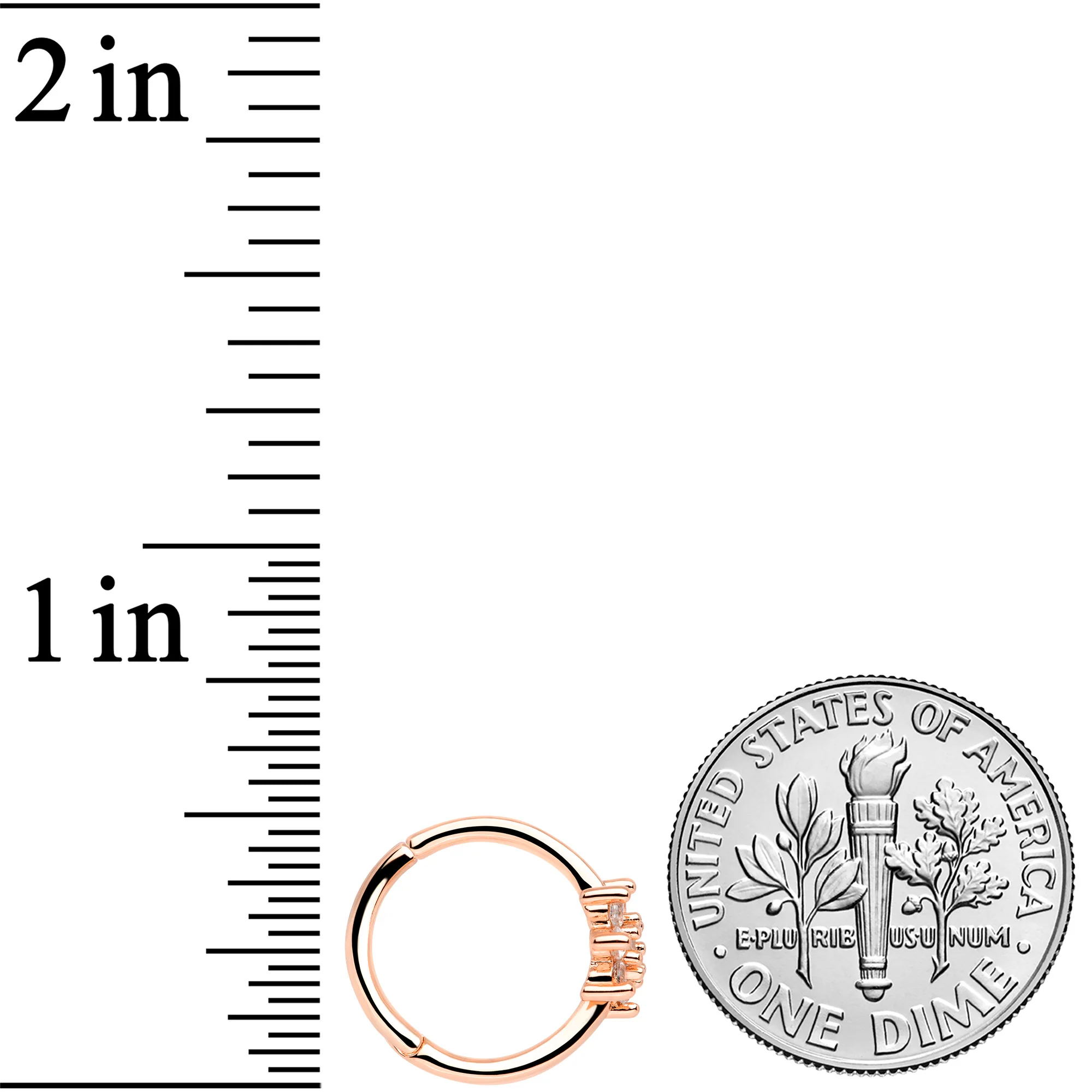 16G 3/8 Clear CZ Gem Rose Gold Tone Flower Hinged Segment Ring - Image 5