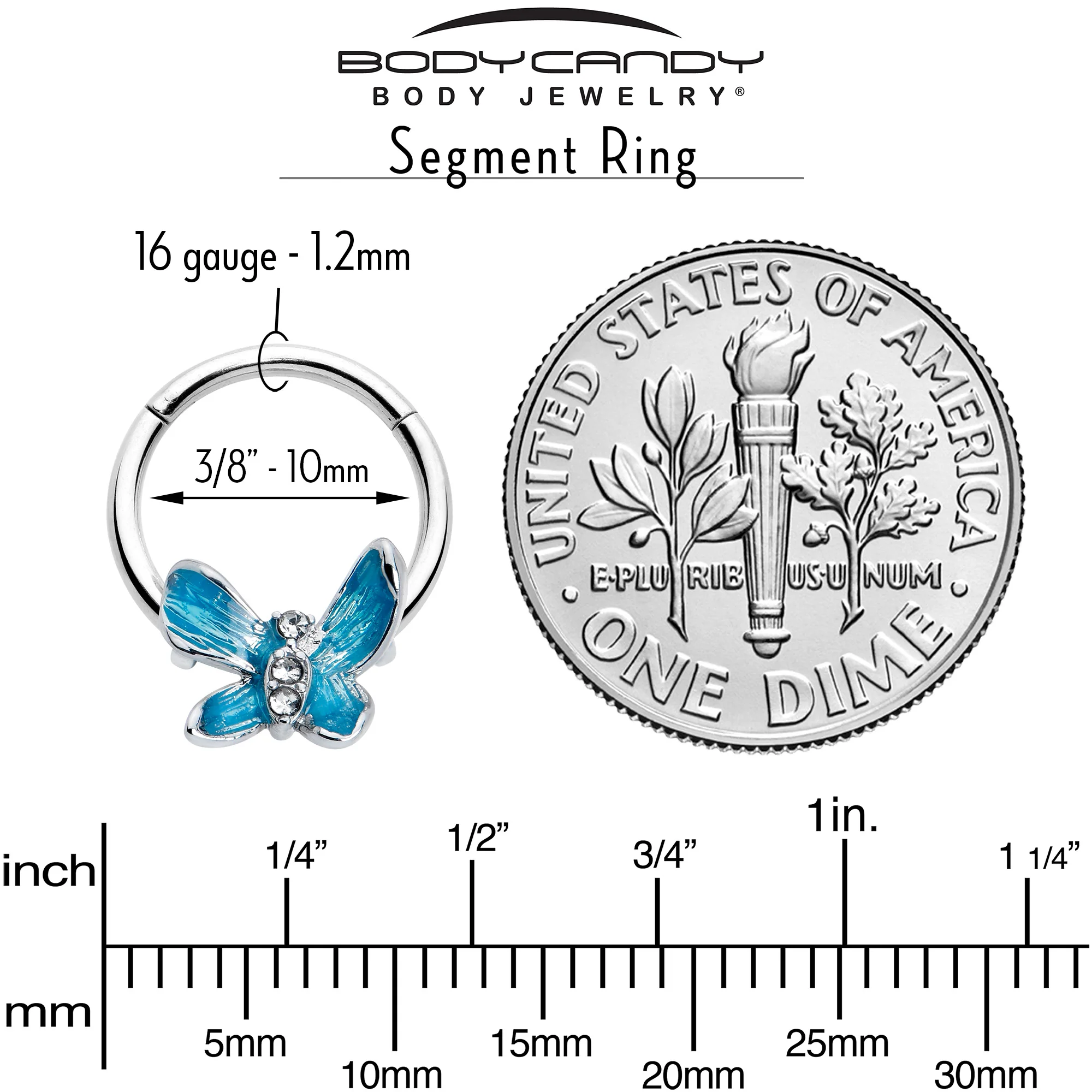 16G 3/8 Clear Gem Chunky Butterfly Blue Hinged Segment Ring - Image 5