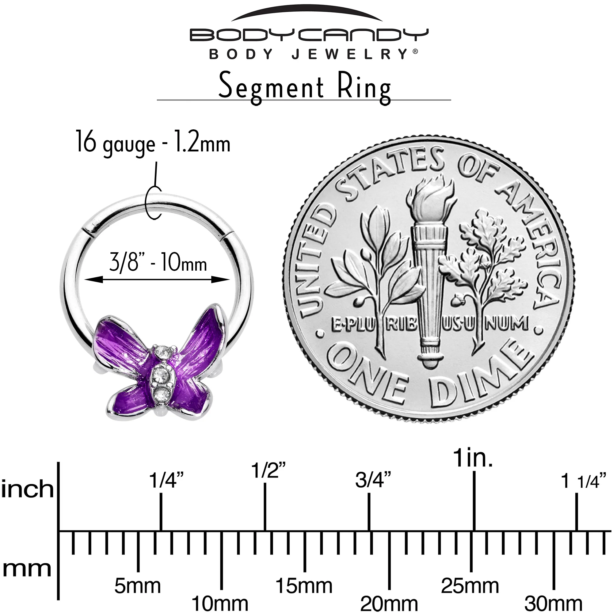 16G 3/8 Clear Gem Chunky Butterfly Purple Hinged Segment Ring - Image 7