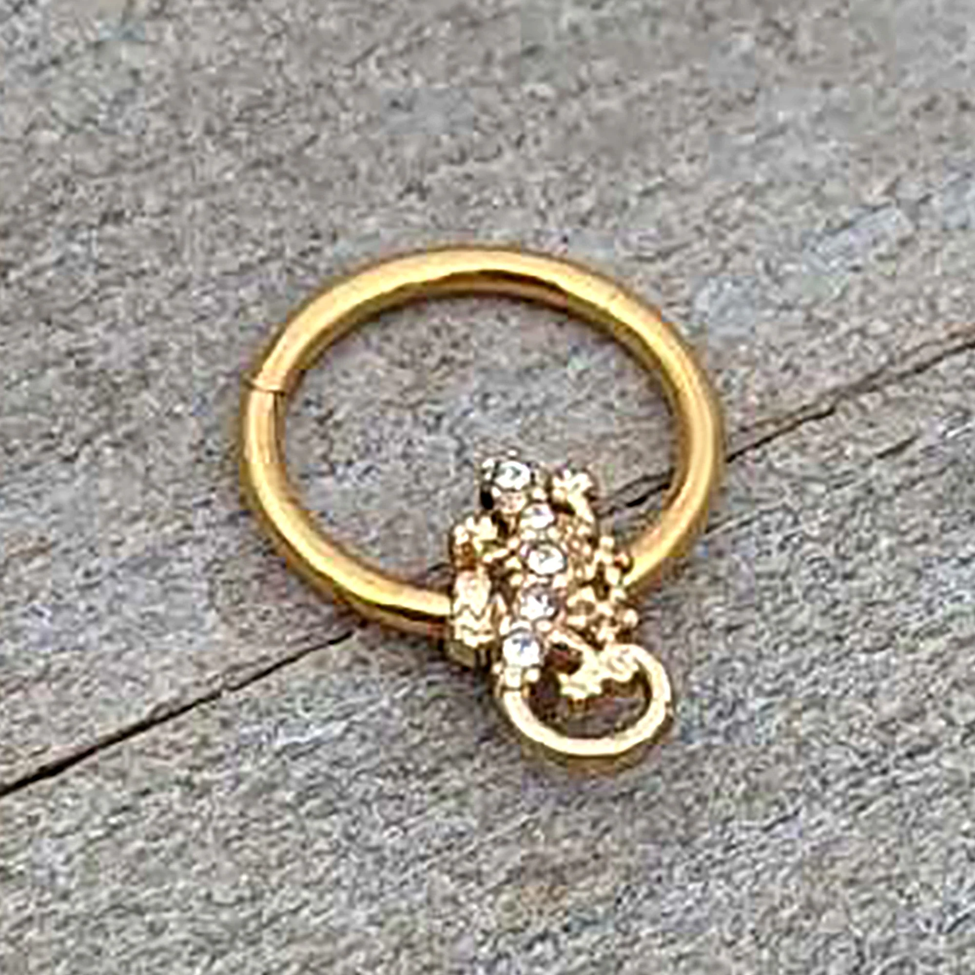 16G 3/8 Clear Gem Gold Tone Luscious Lizard Hinged Segment Ring - Image 5