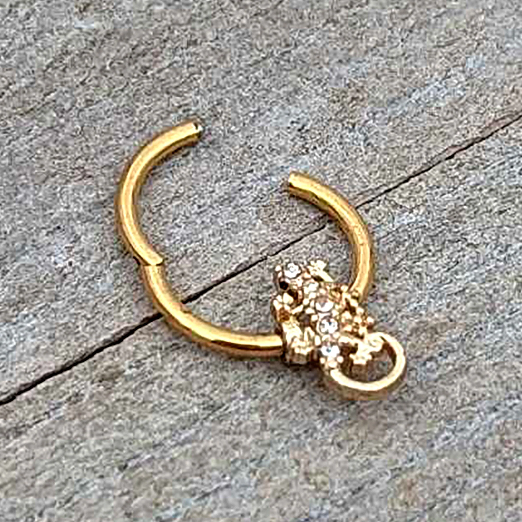 16G 3/8 Clear Gem Gold Tone Luscious Lizard Hinged Segment Ring - Image 6