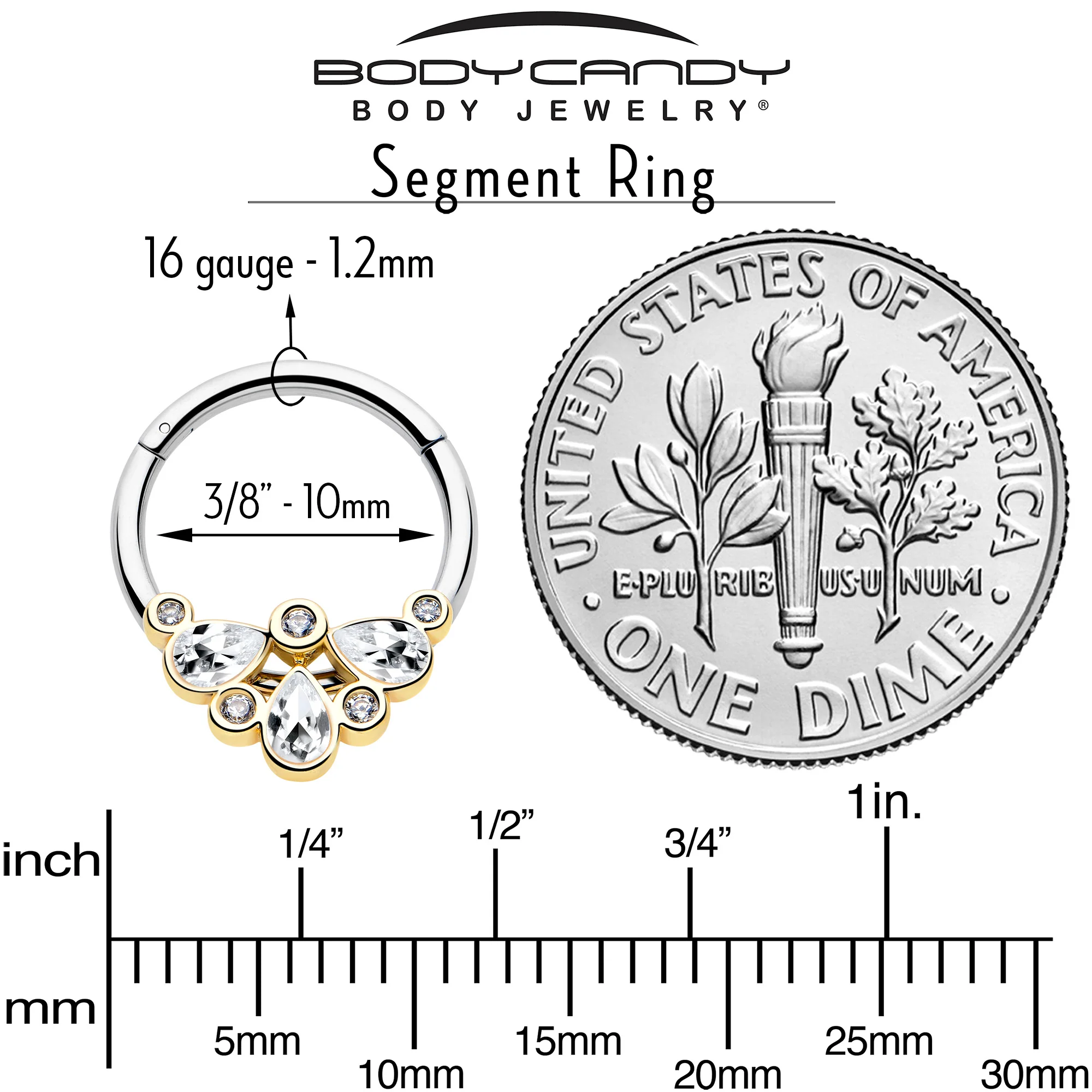 16G 3/8 Clear Gem Golden Crown Deluxe Hinged Segment Ring - Image 4