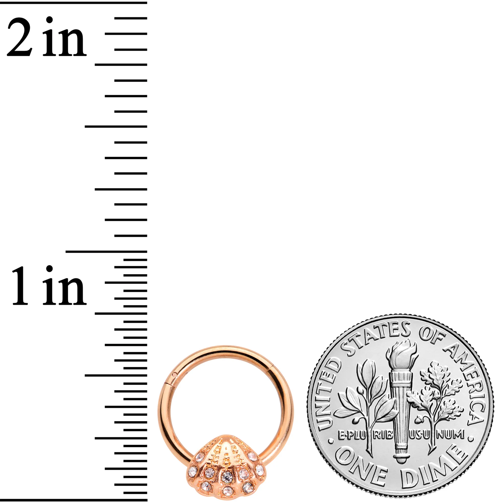 16G 3/8 Clear Gem Rose Gold Tone Shell Hinged Segment Ring - Image 3