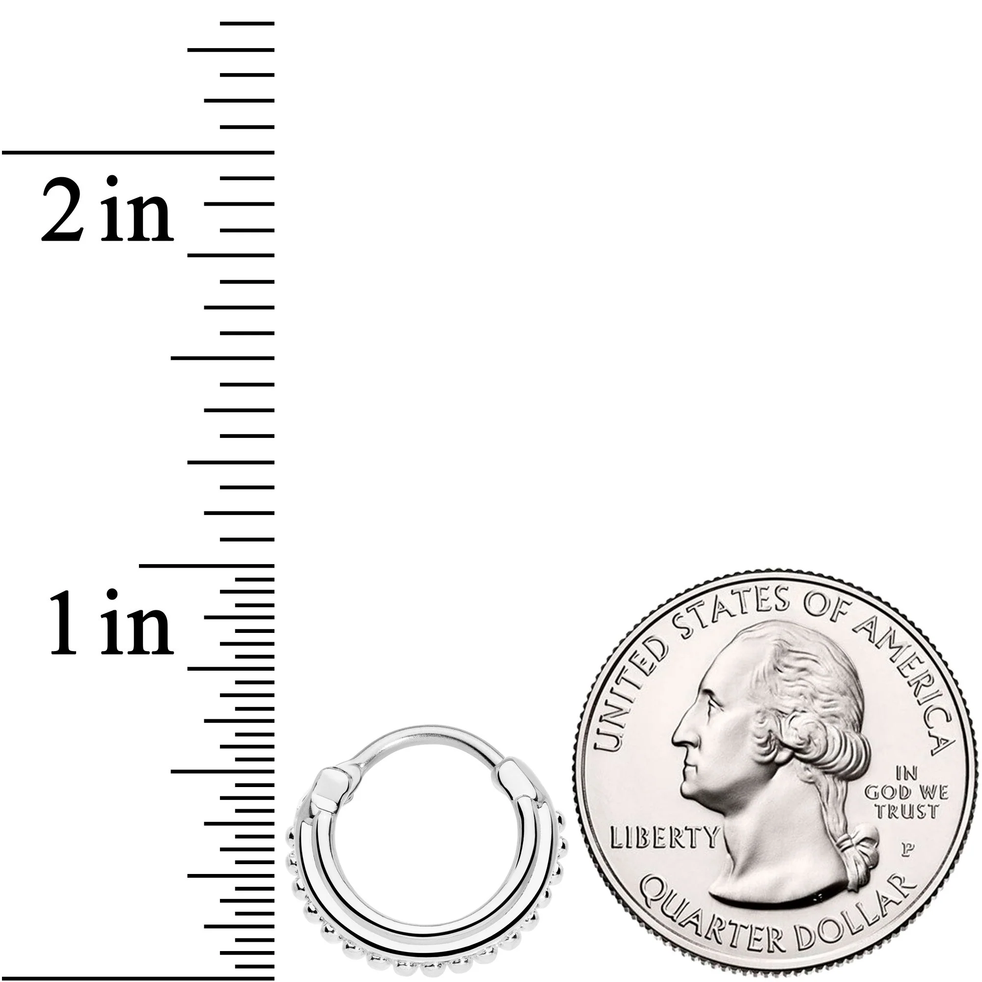 16G 3/8 Delicate Details Hinged Septum Ring - Image 4