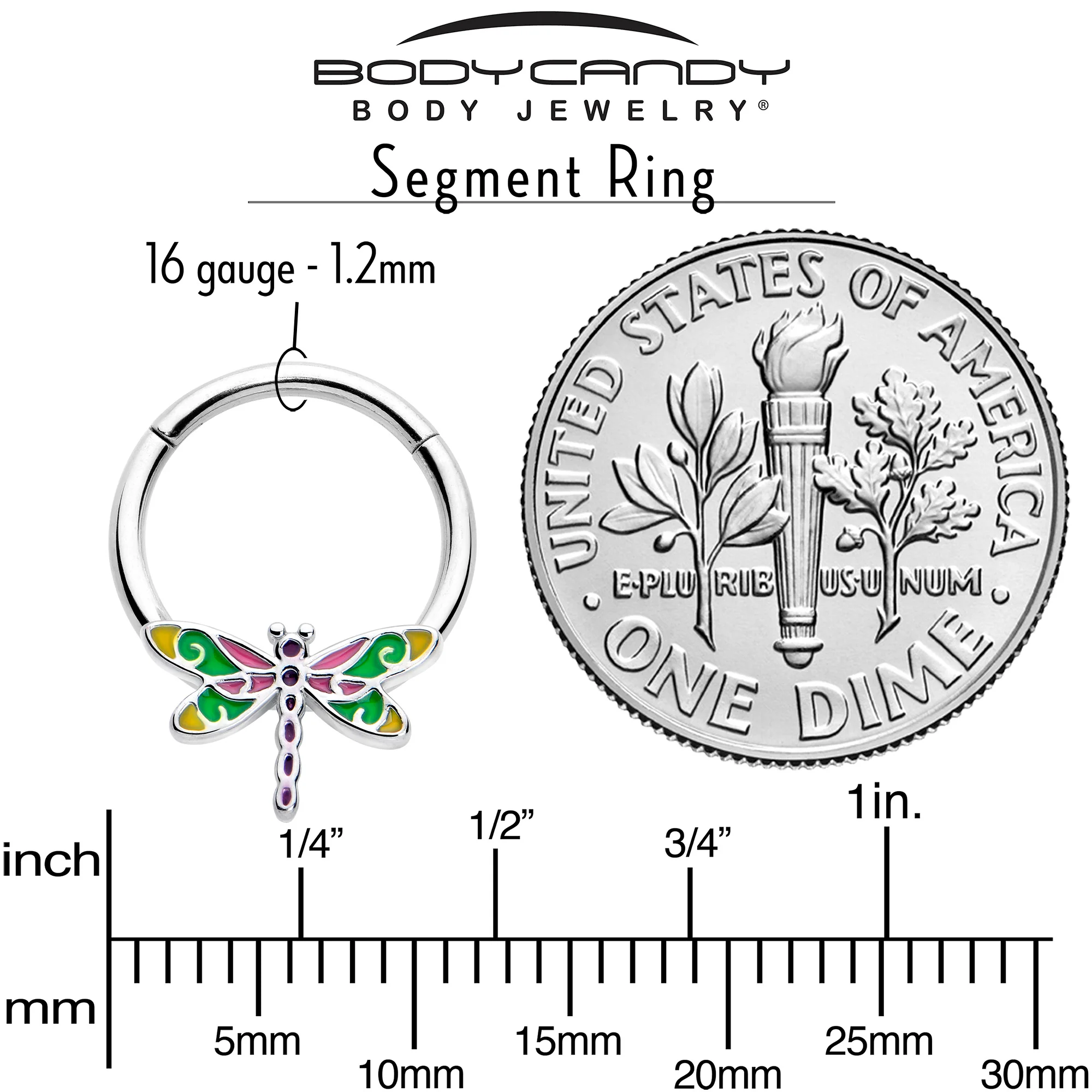 16G 3/8 Dragonfly Color Hinged Segment Ring - Image 4
