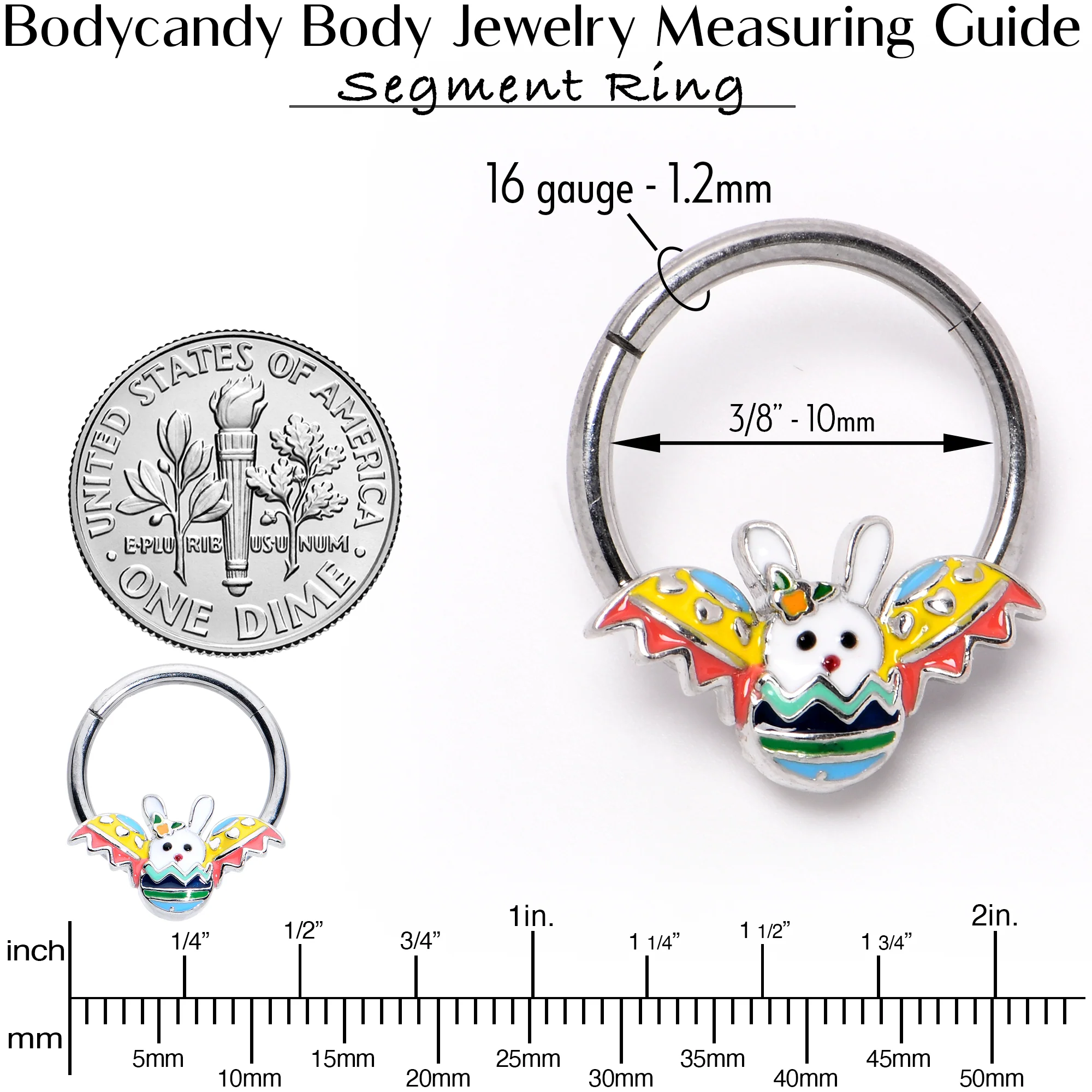 16G 3/8 Easter Egg Bunny Hinged Segment Ring - Image 7